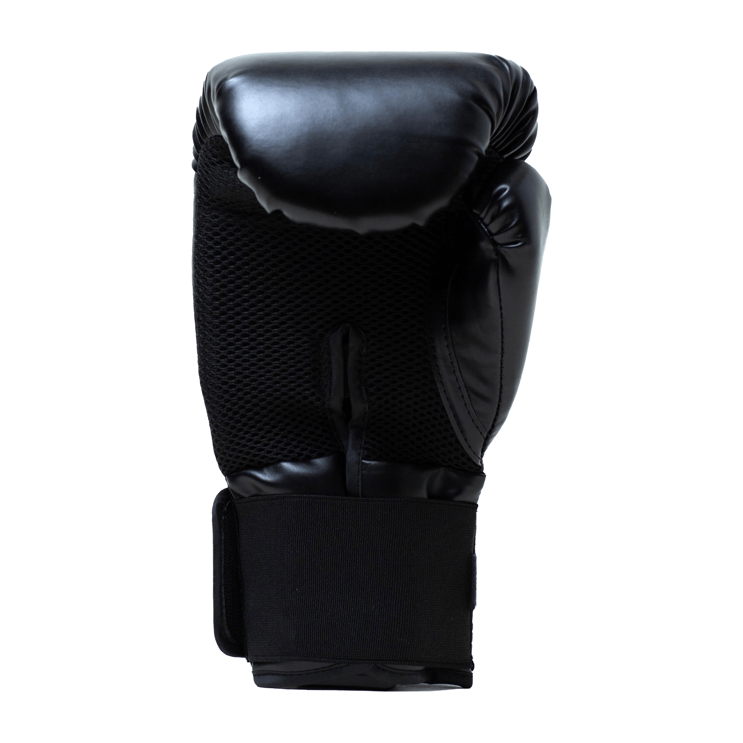 Everlast Pro Style2 Training Boxing Gloves