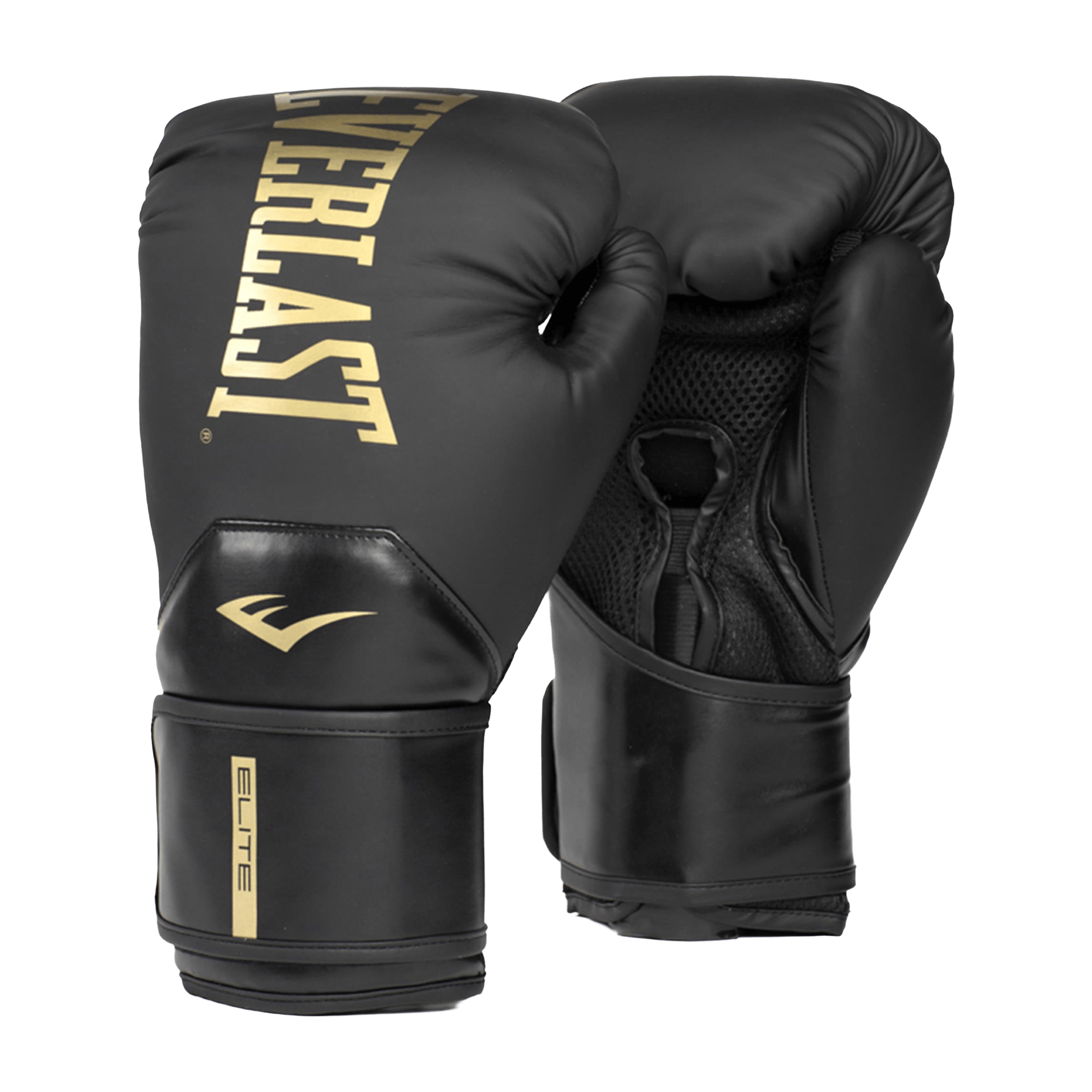 Everlast Elite 2 (12oz) Boxing Gloves