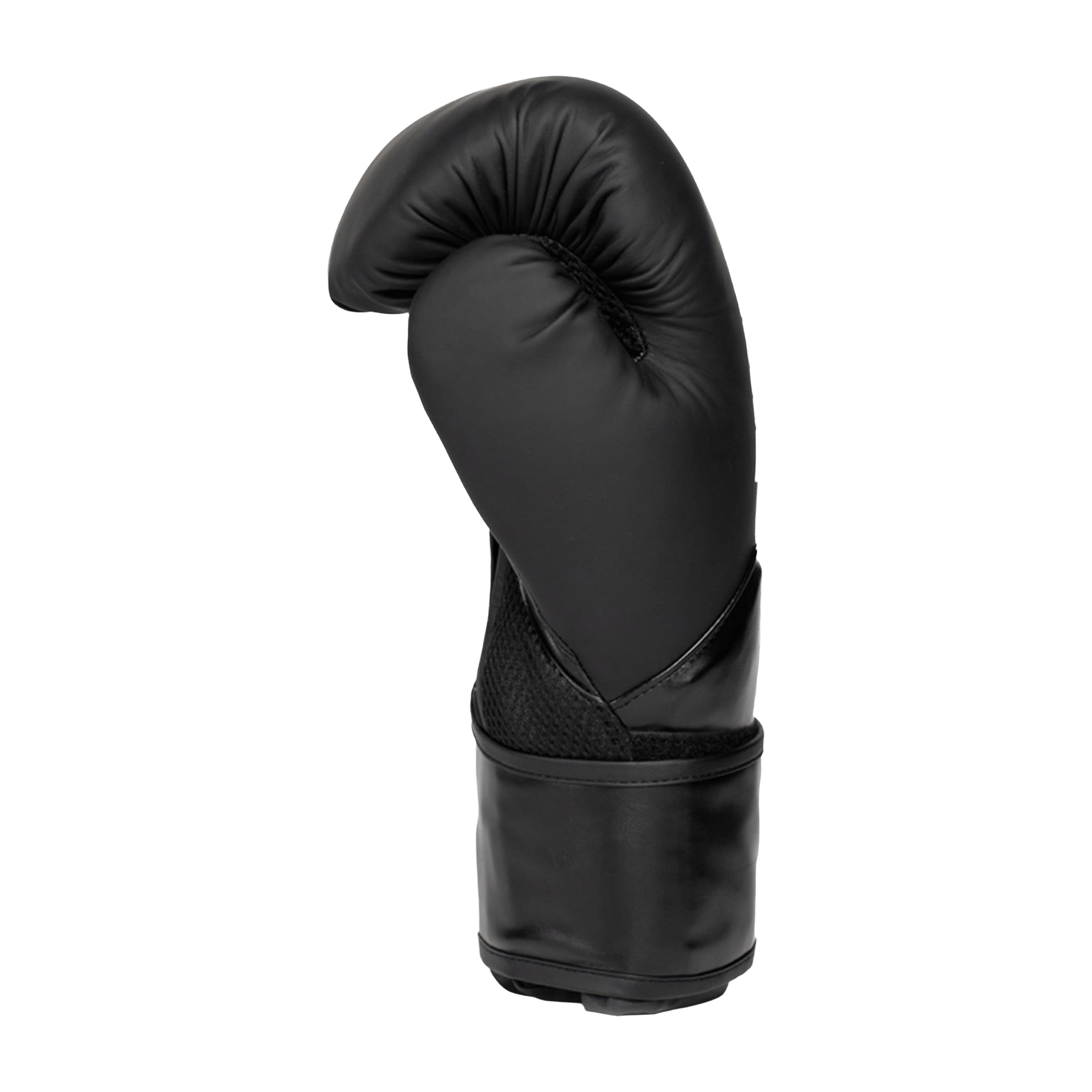 Everlast Elite 2 (12oz) Boxing Gloves
