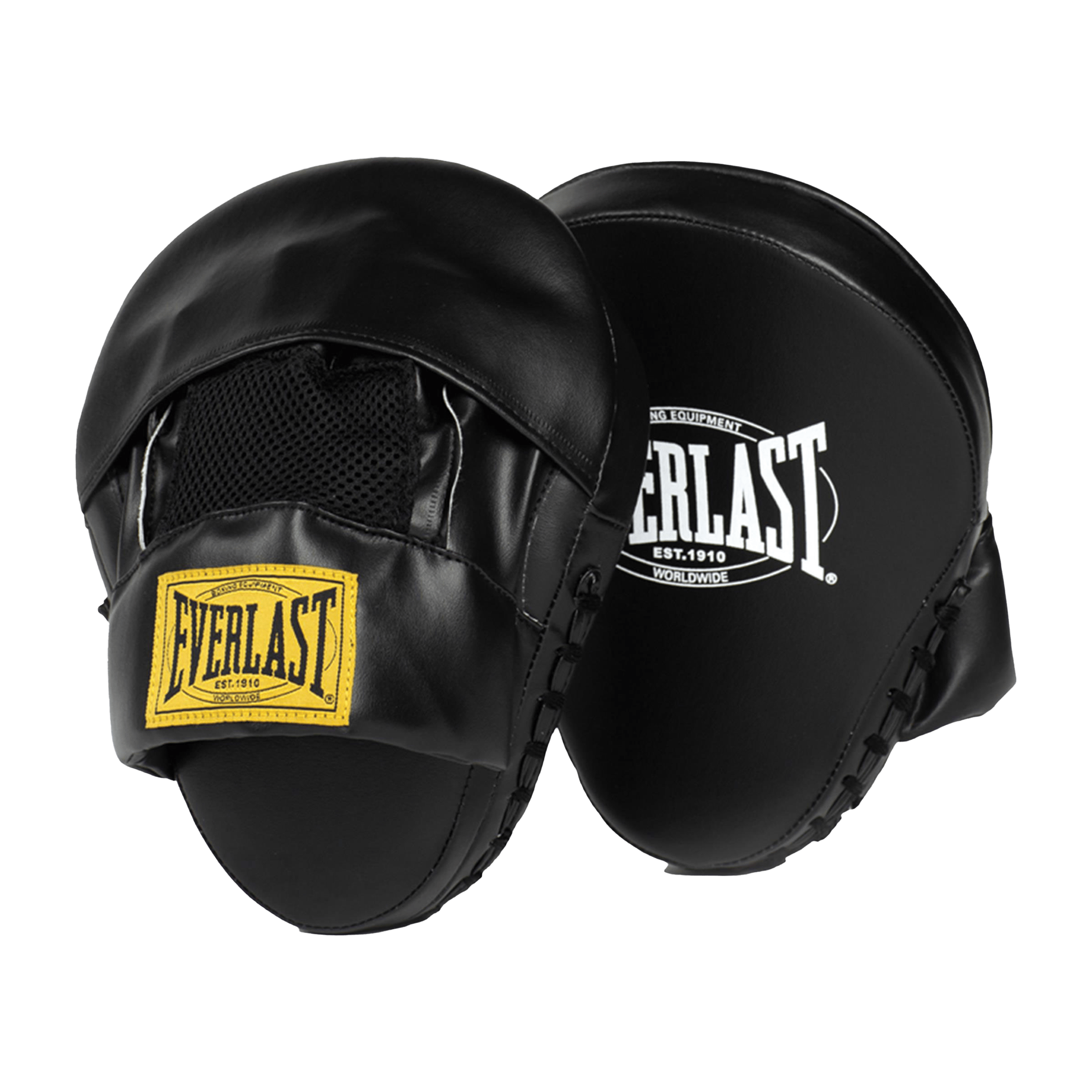 Everlast 1910 Focus Mitts