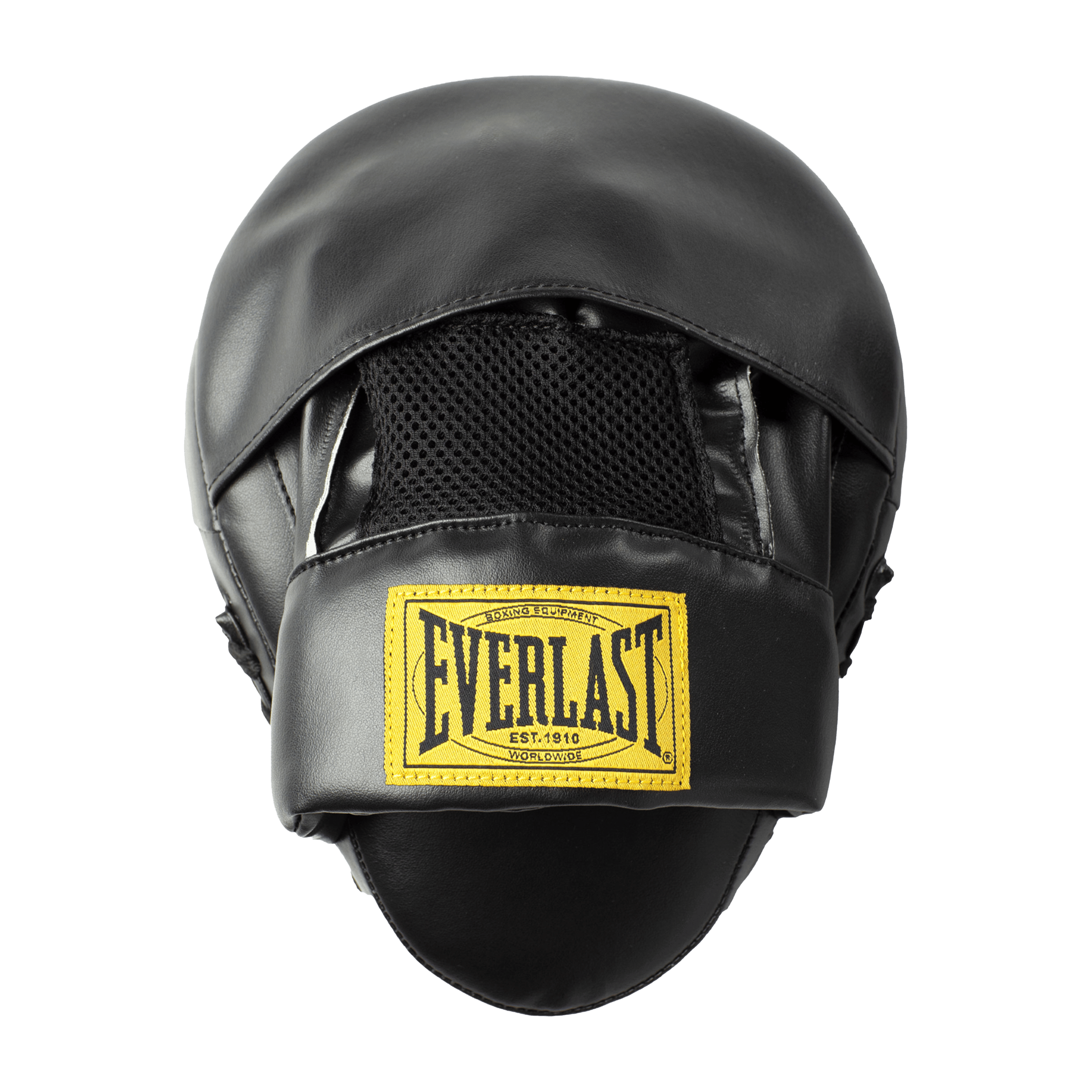 Everlast 1910 Focus Mitts