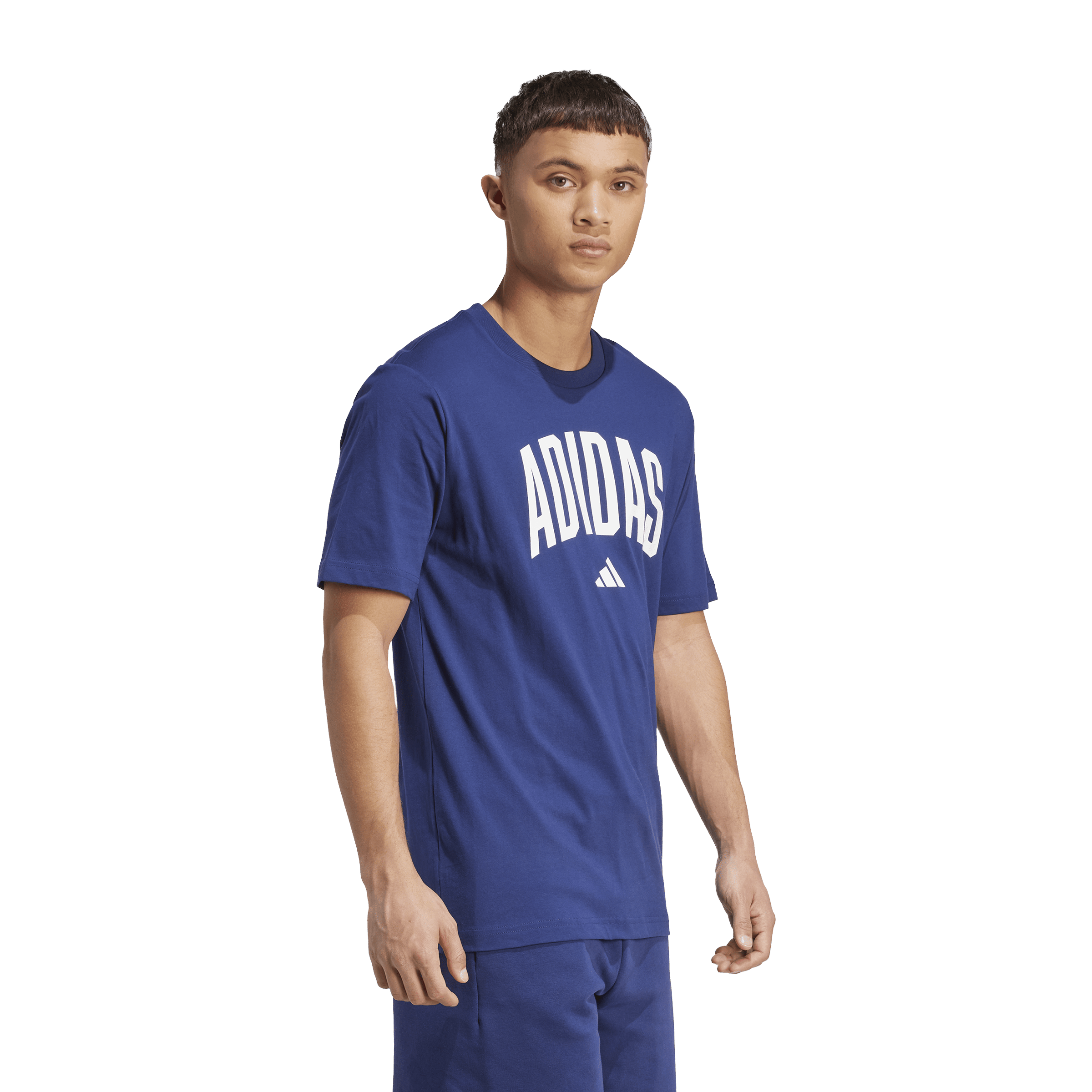 Mens adidas Collegiate Lineage Graphic Tees