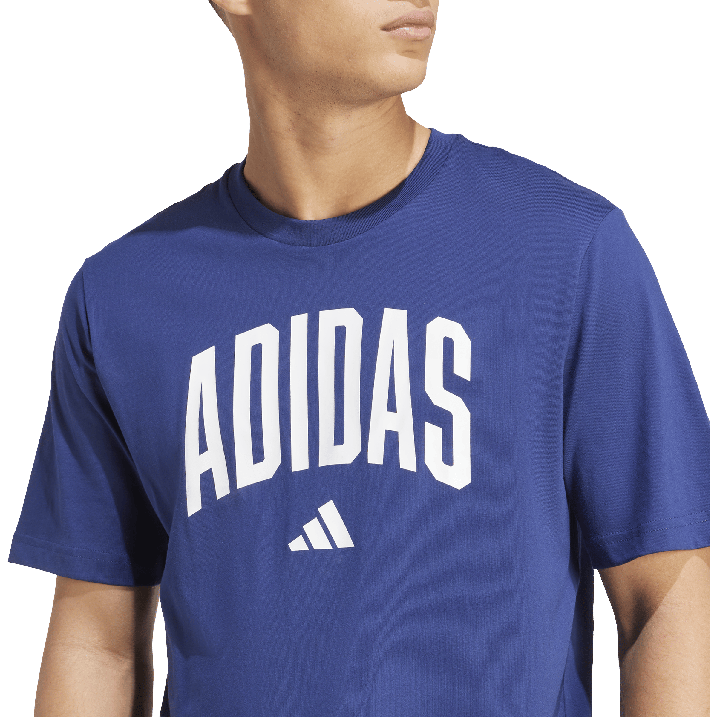 Mens adidas Collegiate Lineage Graphic Tees