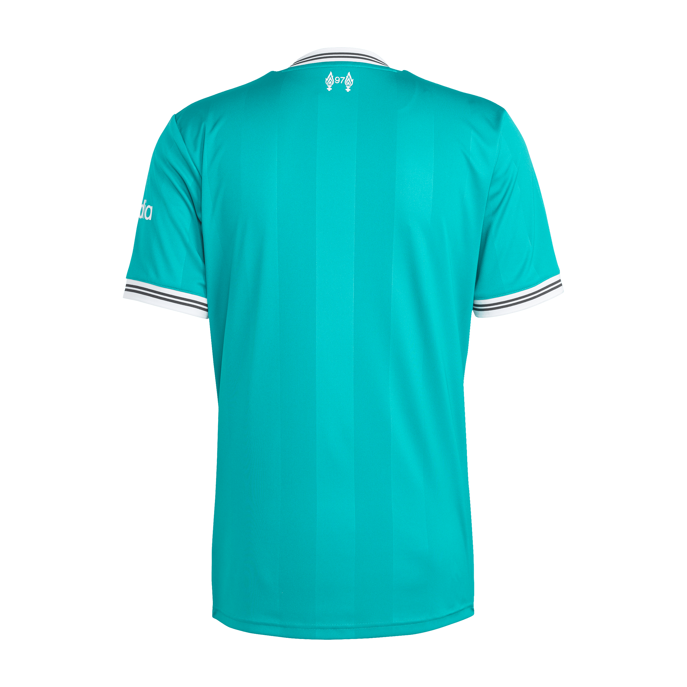 Mens adidas Liverpool FC 25/26 Third Replica Football Jersey
