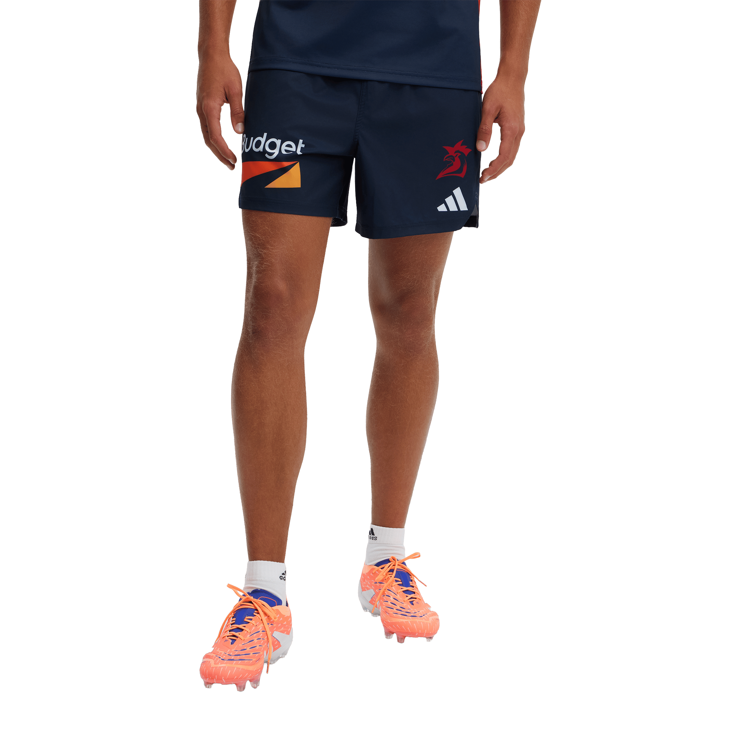 Mens adidas NRL Sydney Roosters 2026 Training Shorts