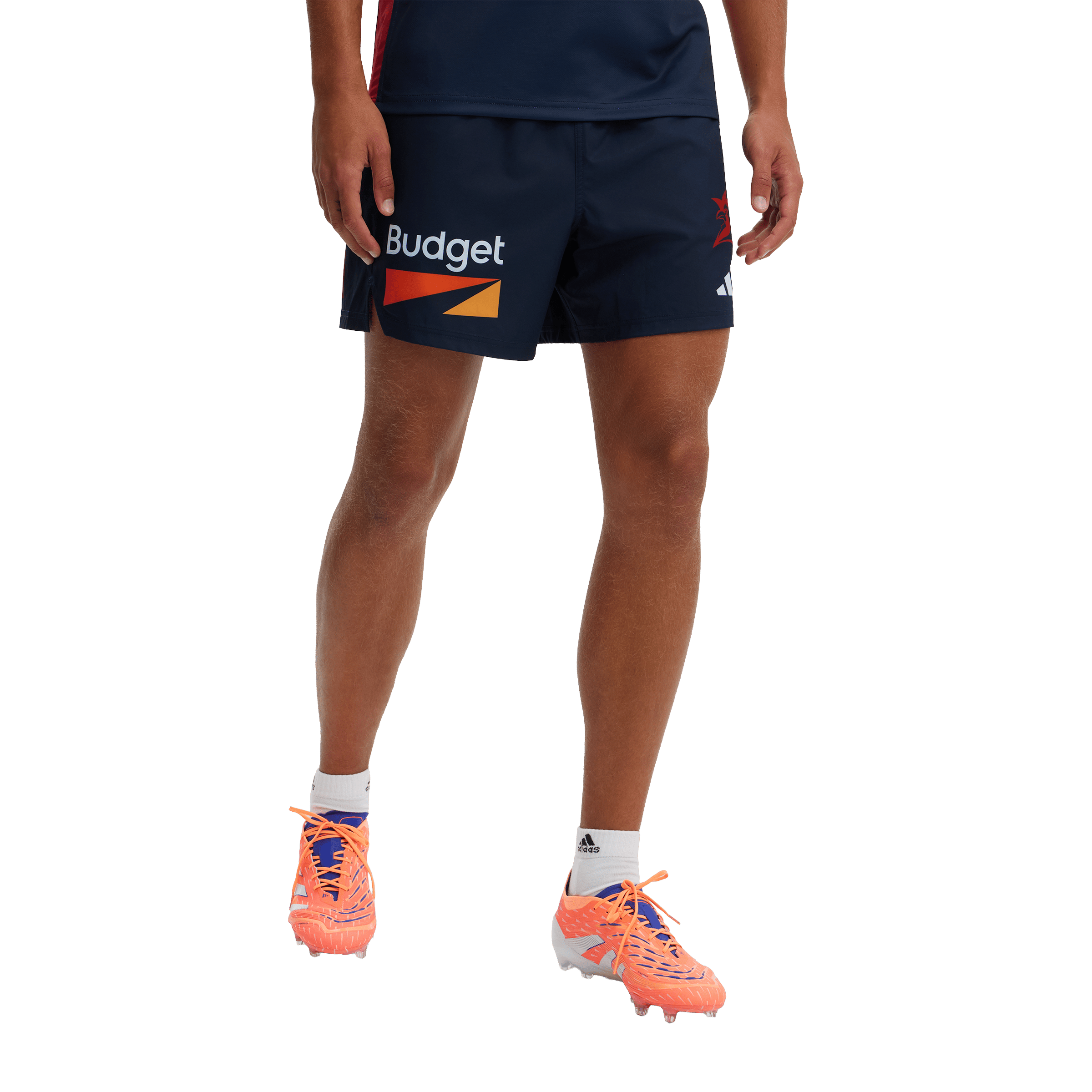 Mens adidas NRL Sydney Roosters 2026 Training Shorts
