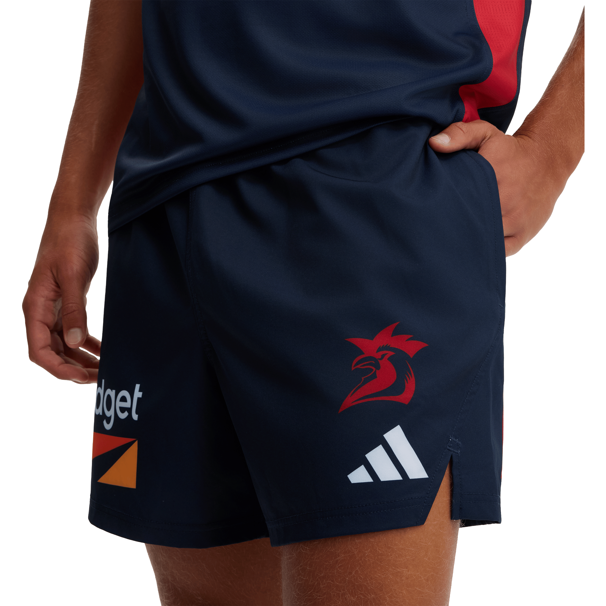 Mens adidas NRL Sydney Roosters 2026 Training Shorts