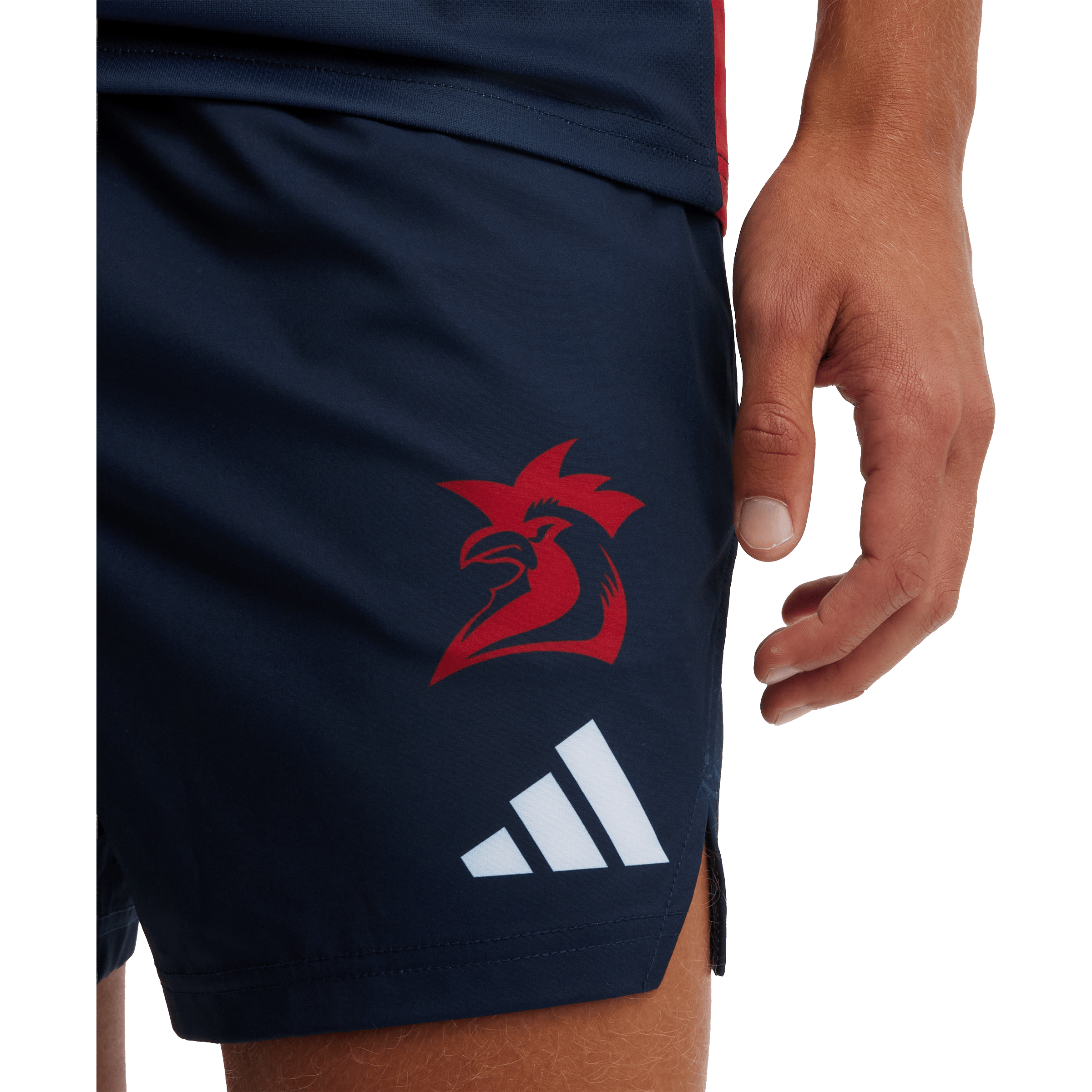 Mens adidas NRL Sydney Roosters 2026 Training Shorts