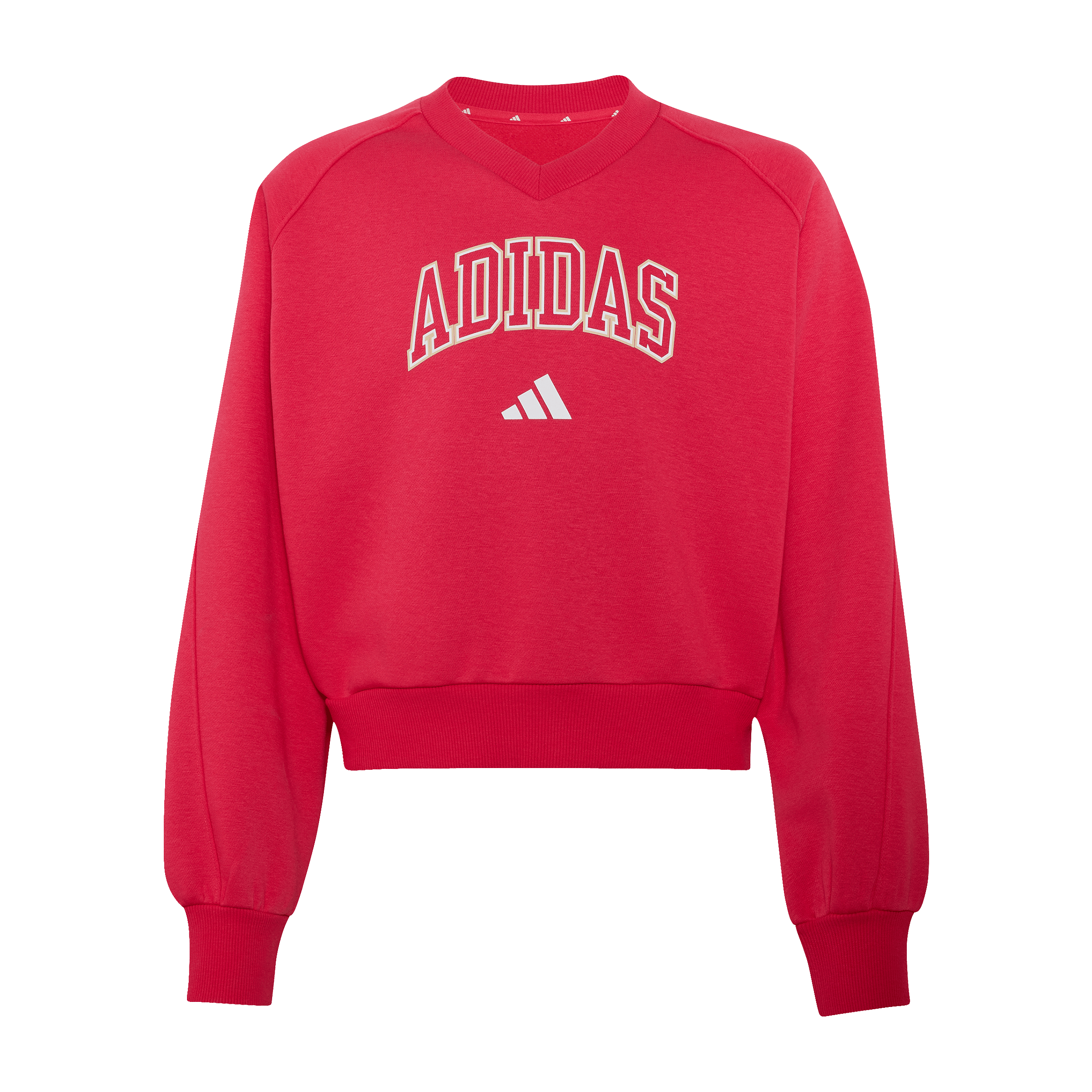 Kids adidas Seasonals Collegiate Typography V-neck Sweatshirt