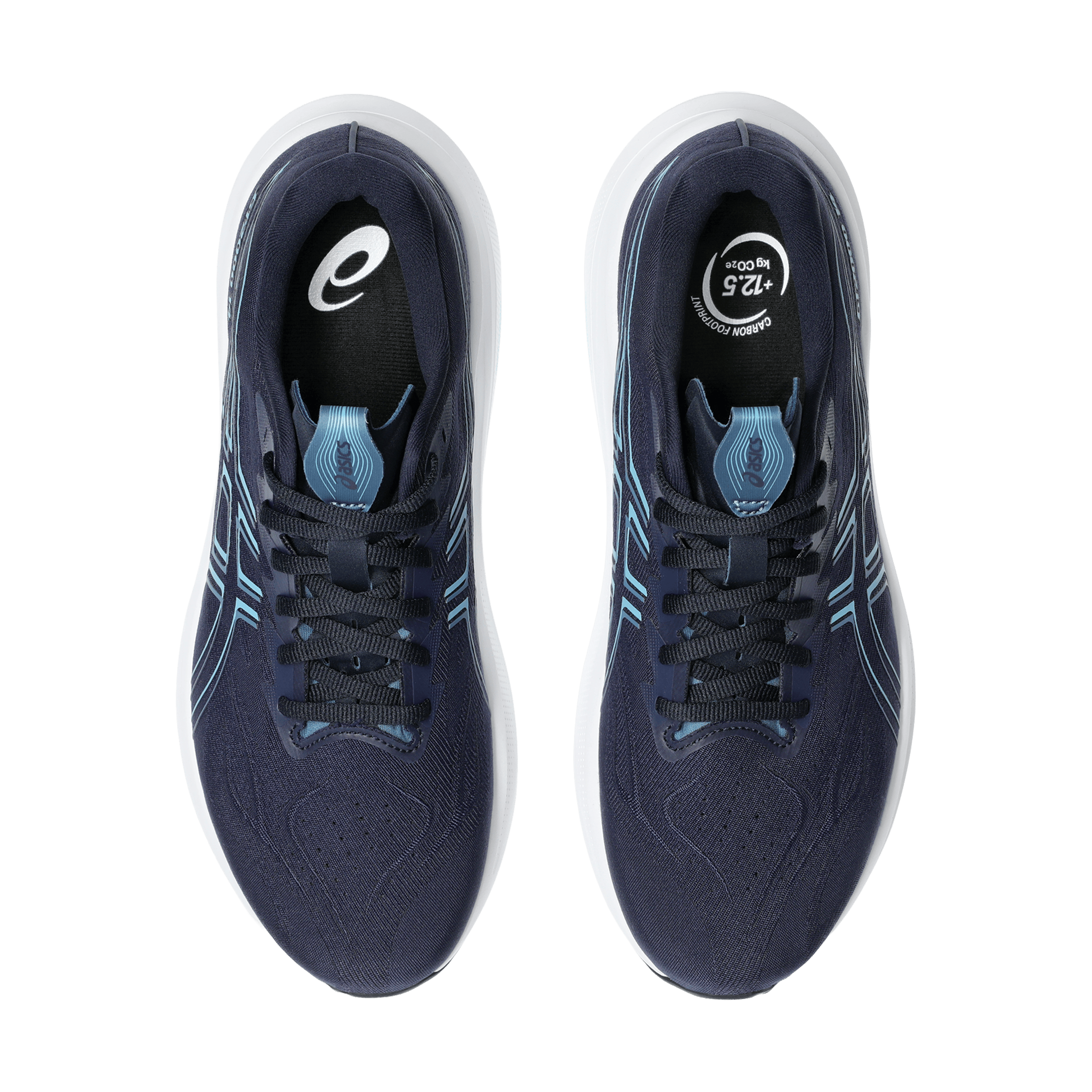 Mens Asics GT-2000 14 (Wide) Running Shoes