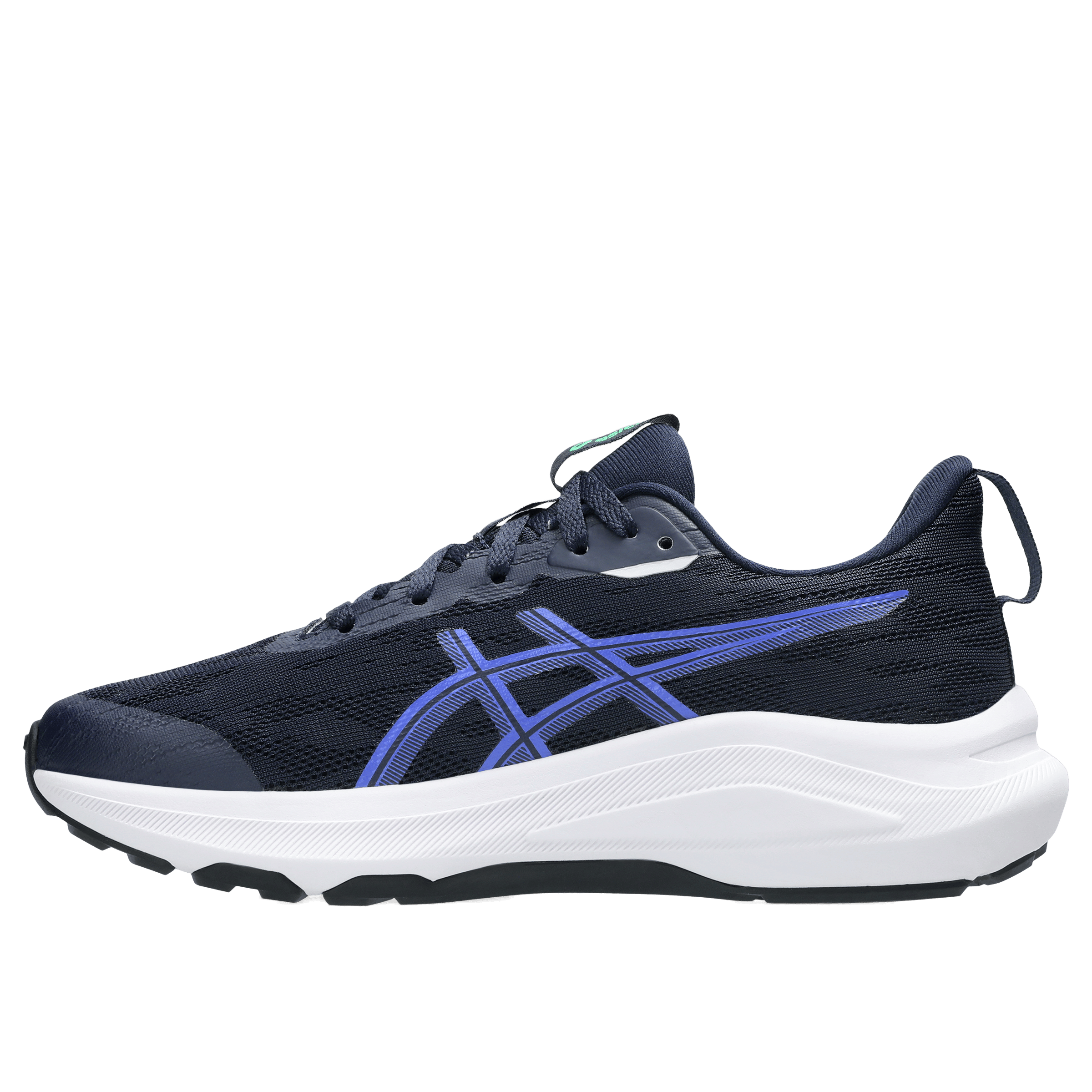 Kids Asics GT-1000 14 (GS) Running Shoes
