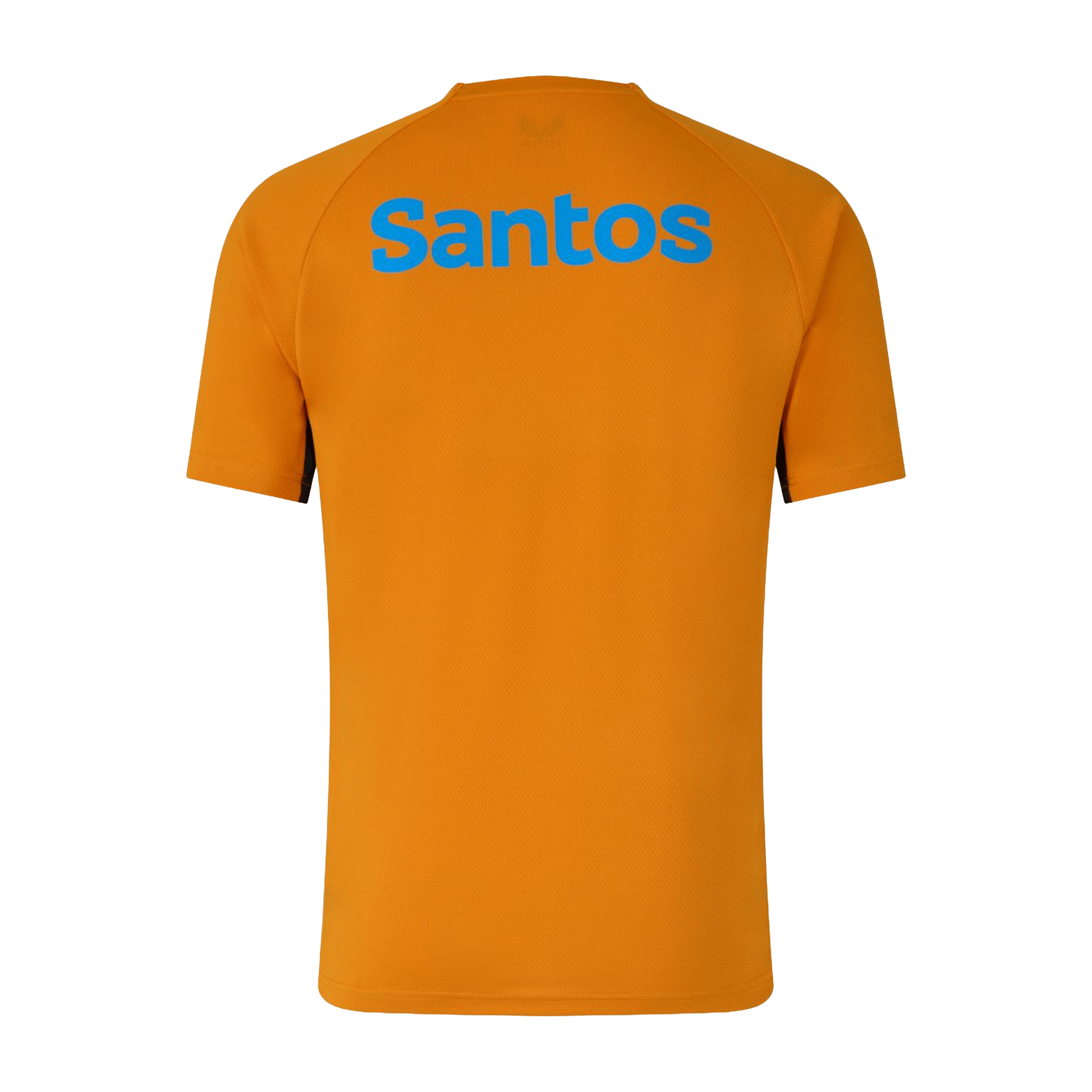 Mens Castore Wallabies 2026 Pre-Match Rugby Tee
