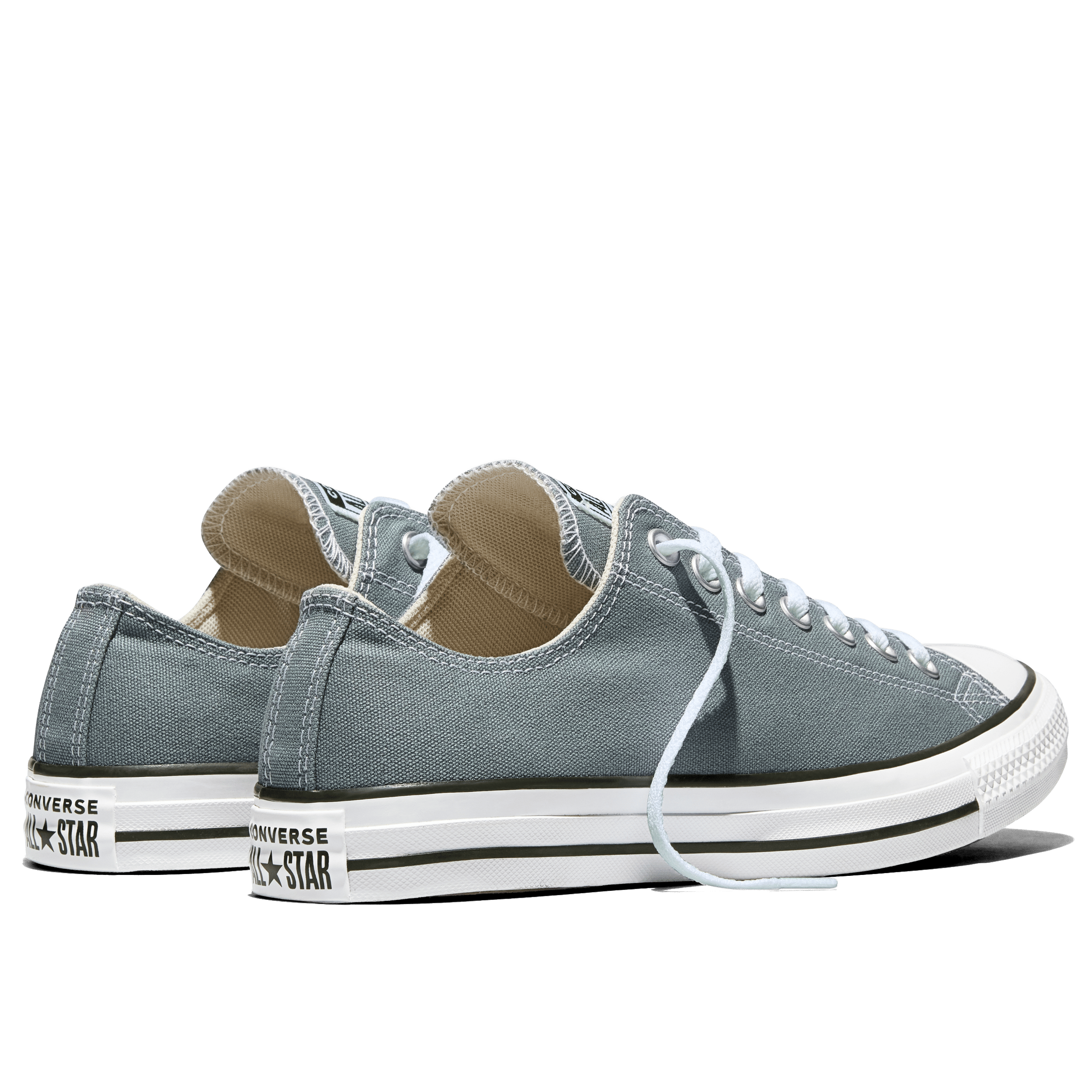 Unisex Converse Chuck Taylor All Star Seasonal Colour Low-Top Shoes