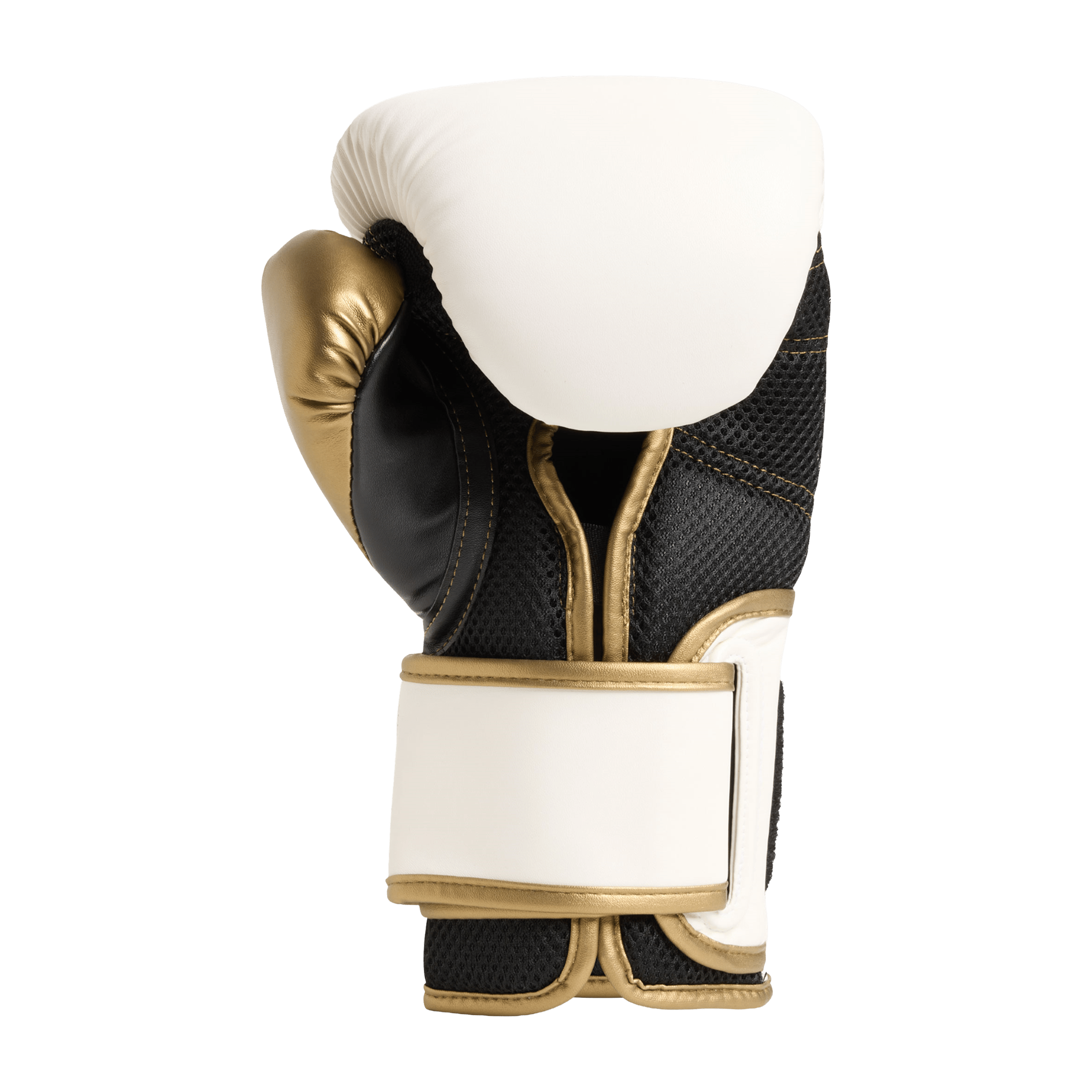 Everlast Mens Powerlock2 (12oz) Training Boxing Gloves