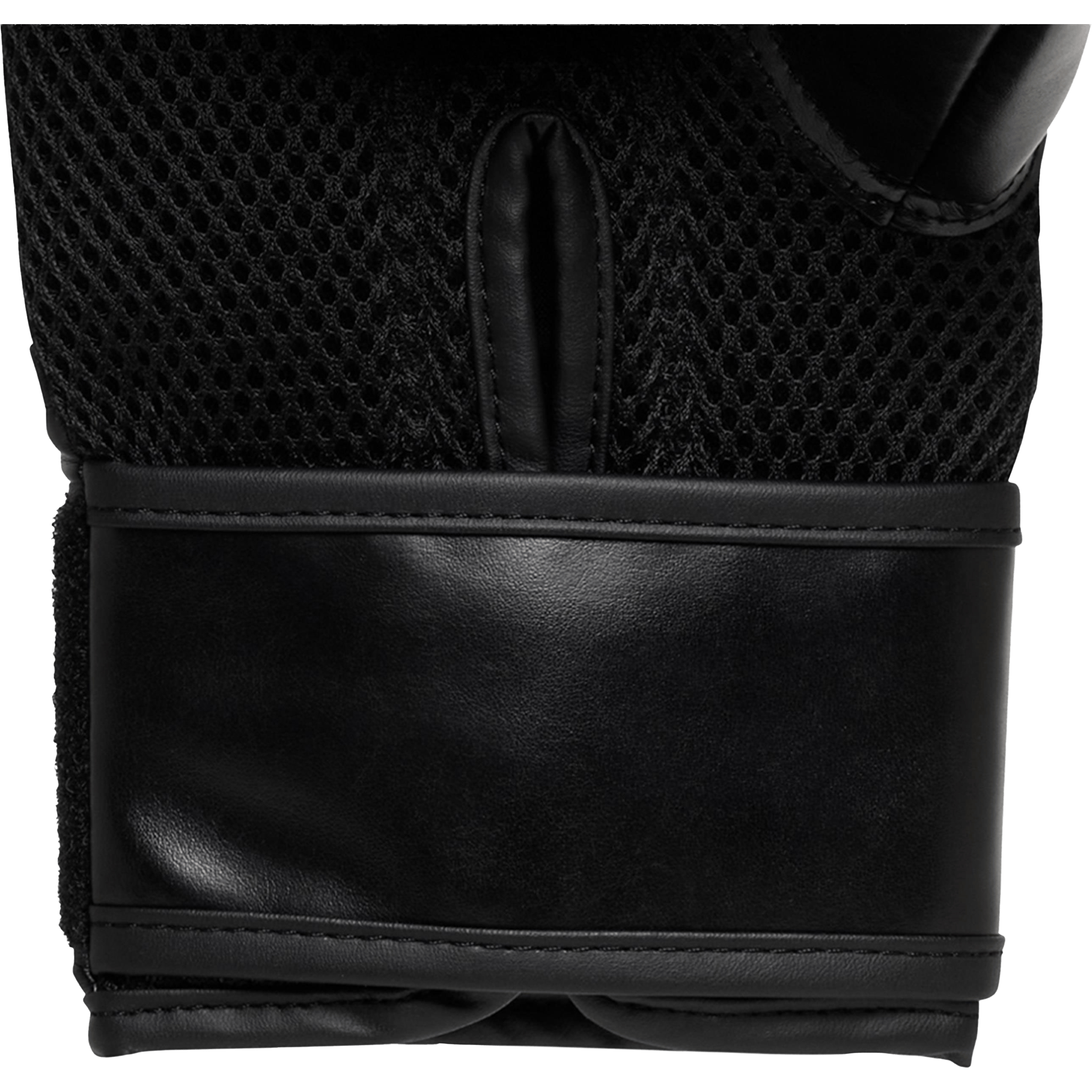 Everlast Elite Tempo Cardio Mitt Kit