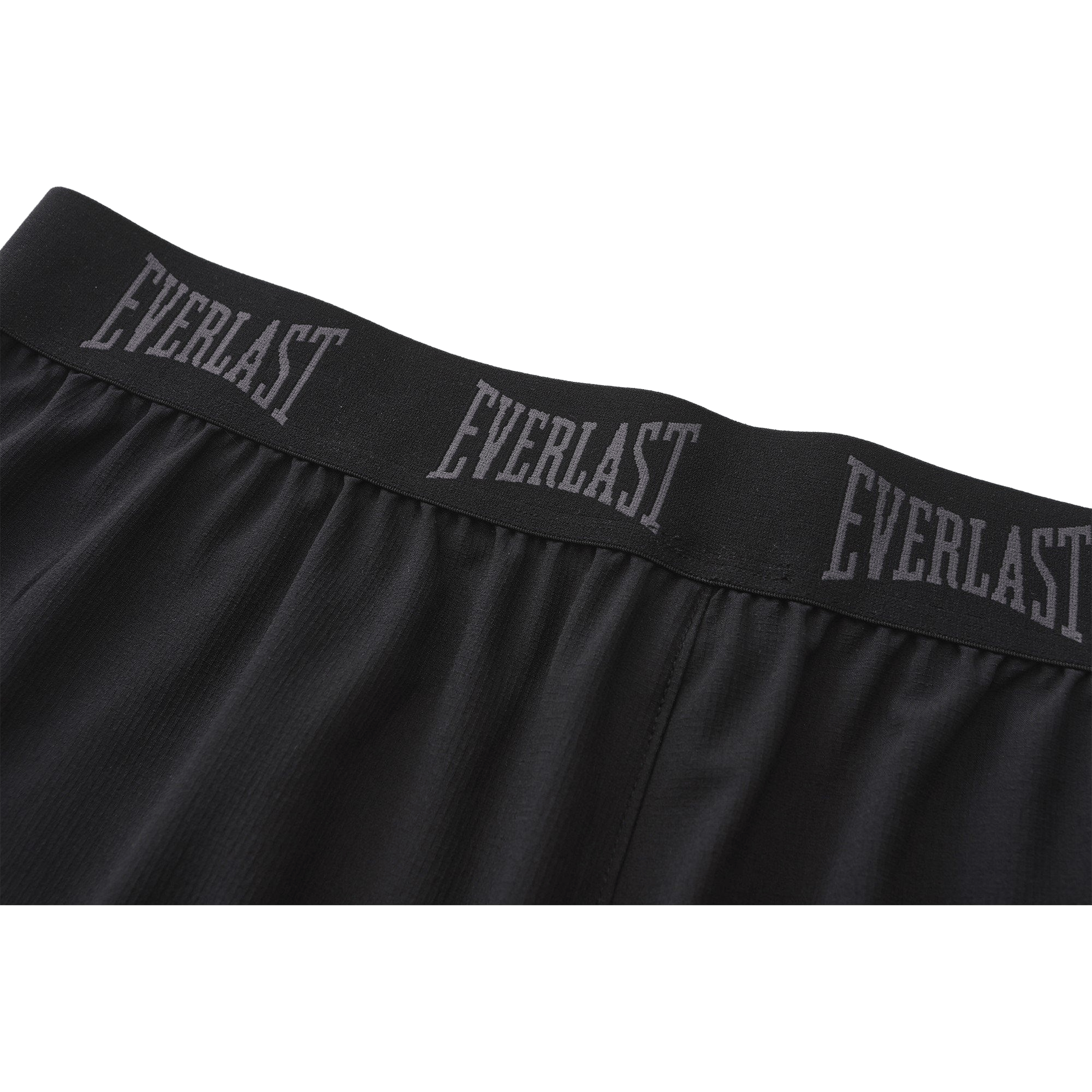 Mens Everlast Flex Woven Shorts