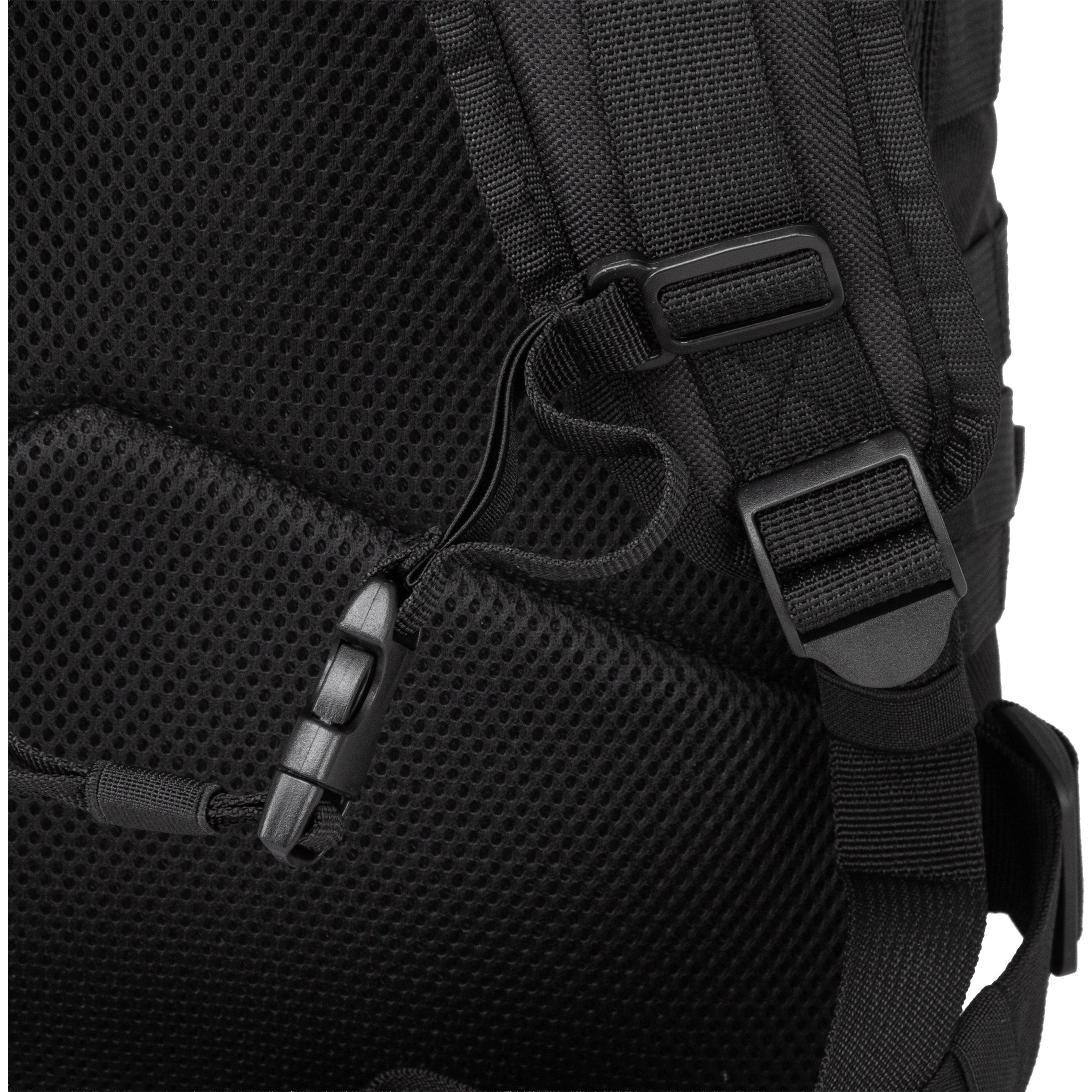 Everlast Bronx (35L) Backpack