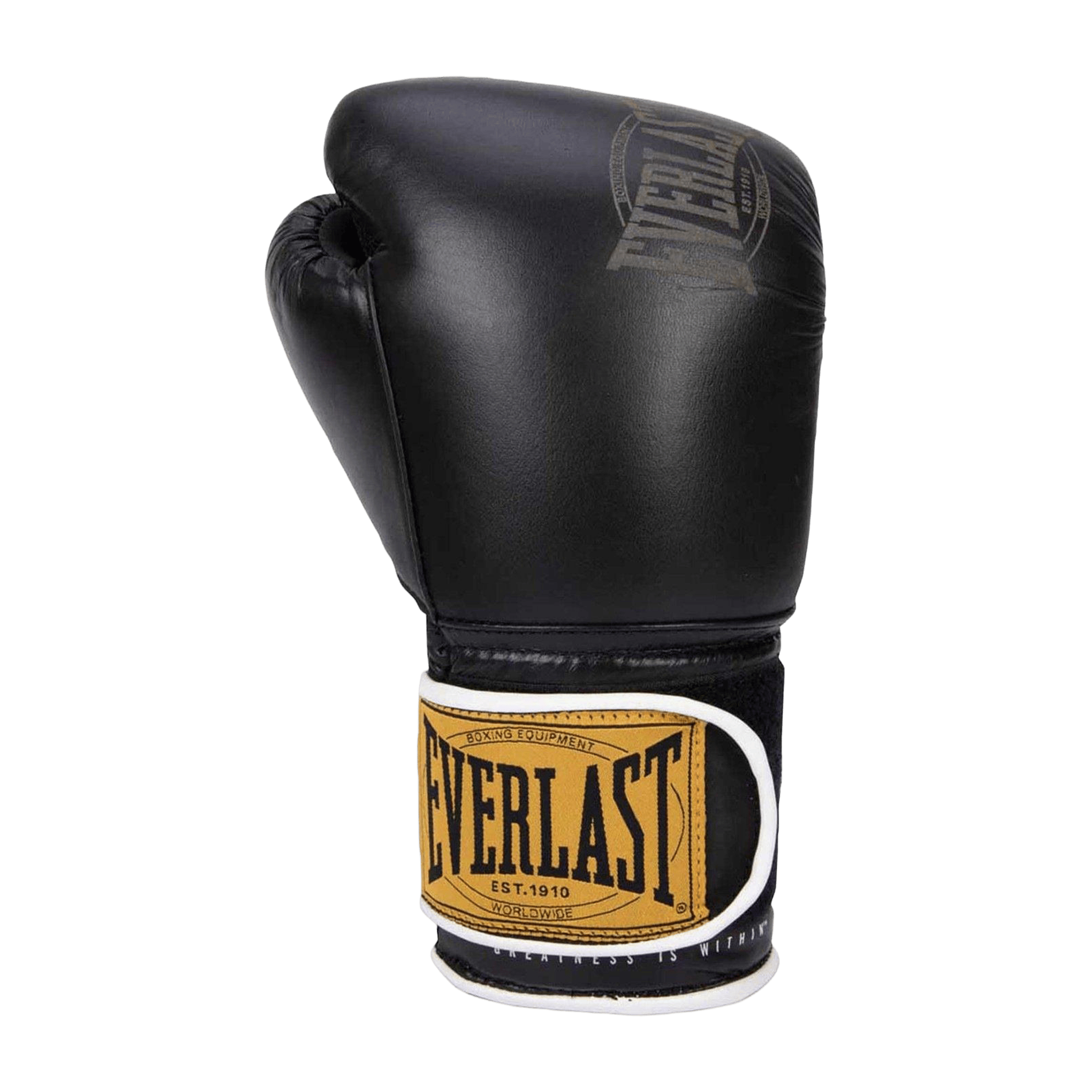 Everlast 1910 Classic Training Boxing Glove