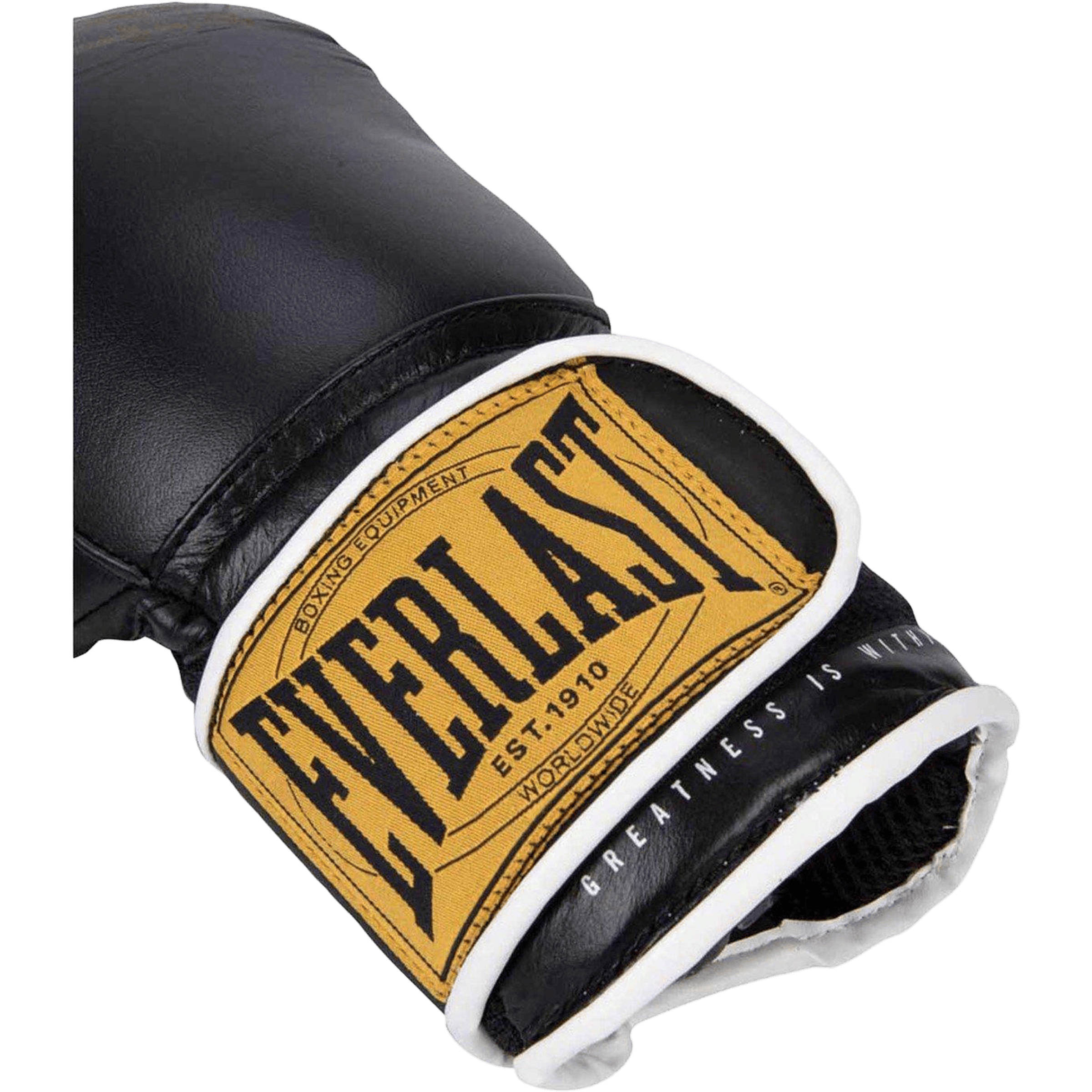 Everlast 1910 Classic Training Boxing Glove