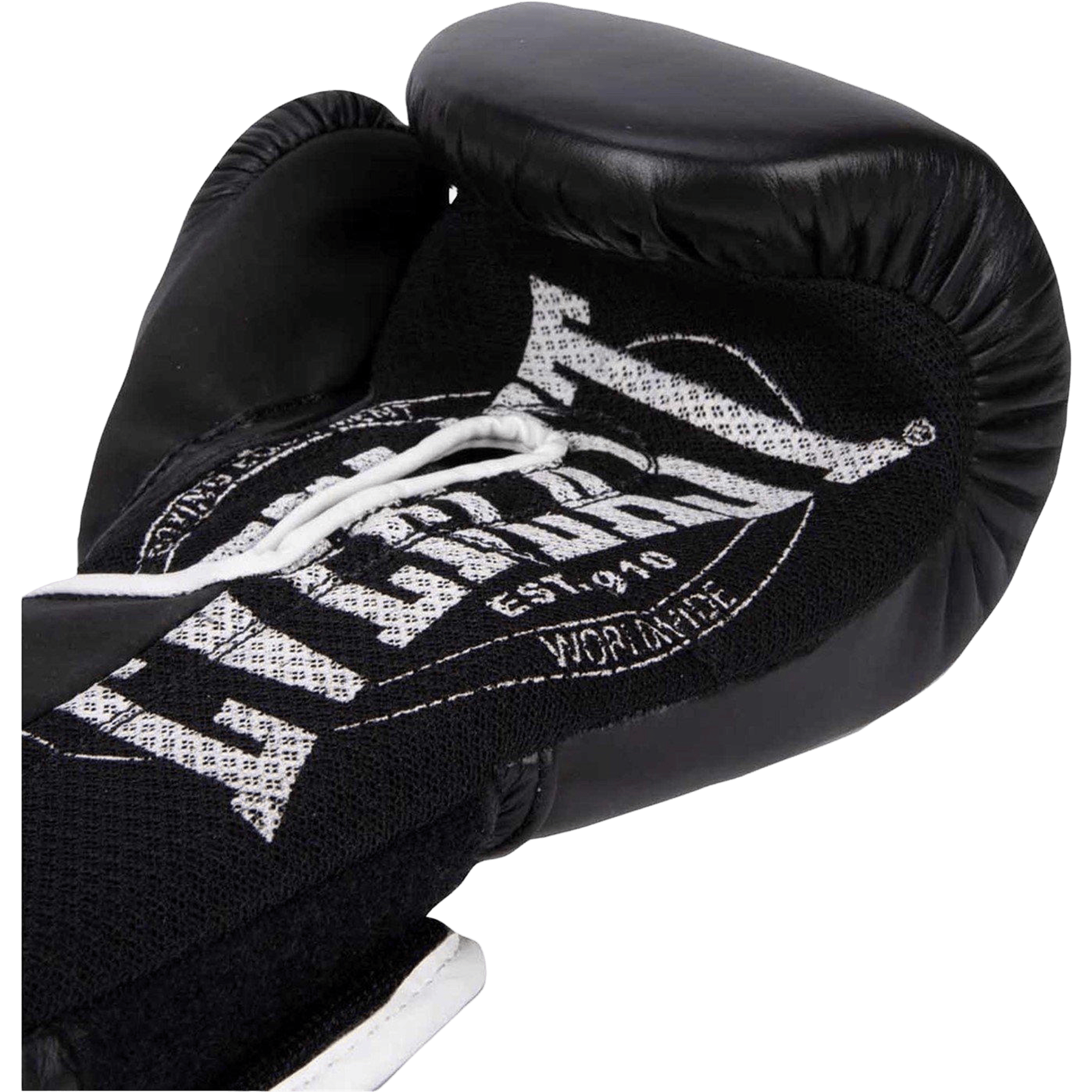 Everlast 1910 Classic Training Boxing Glove