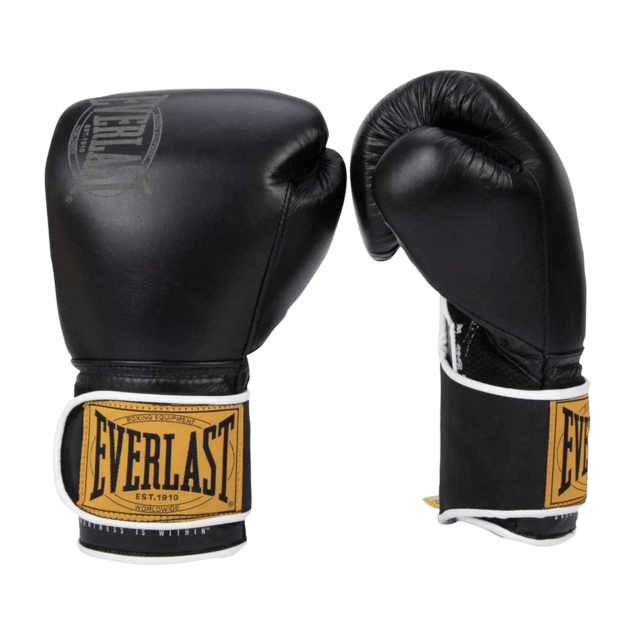 Everlast 1910 Classic Training Boxing Glove