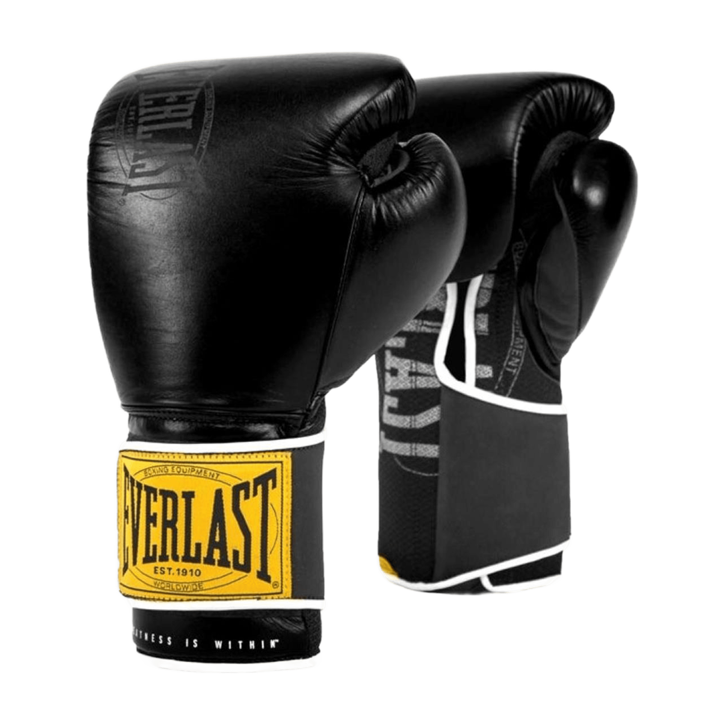Everlast 1910 Classic Training Boxing Glove