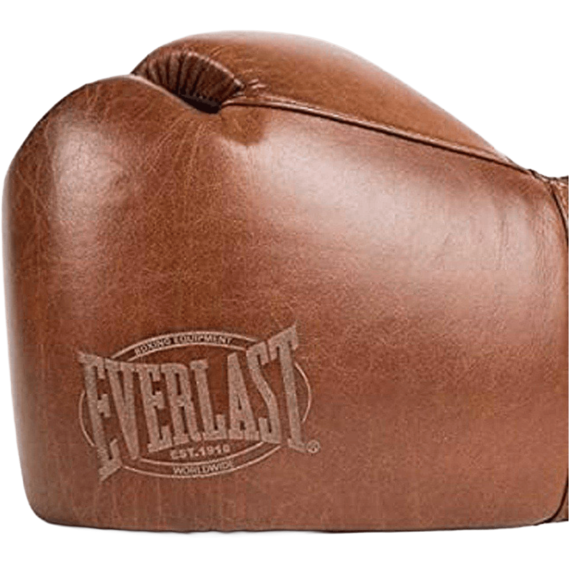 Everlast 1910 Classic Training Boxing Glove