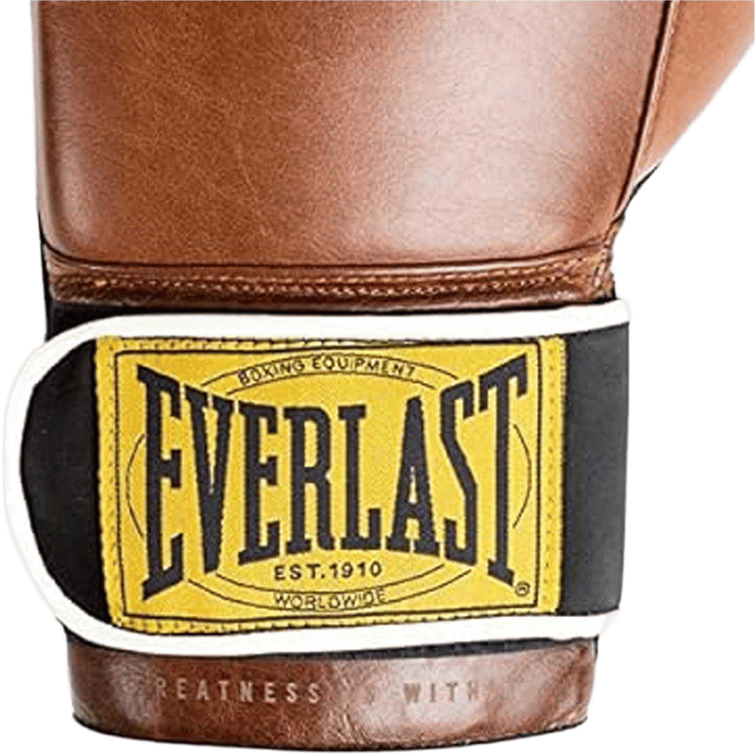 Everlast 1910 Classic Training Boxing Glove