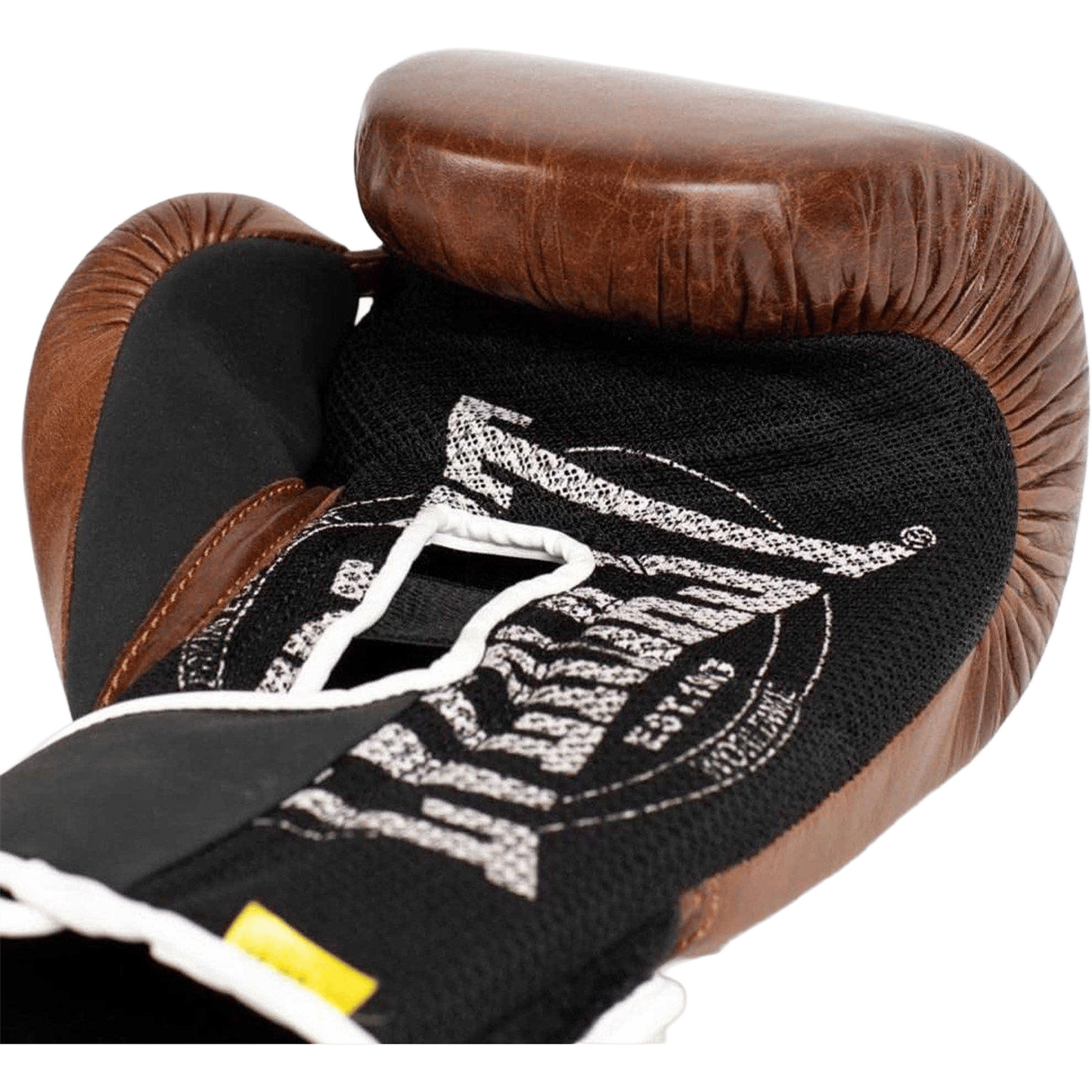 Everlast 1910 Classic Training Boxing Glove