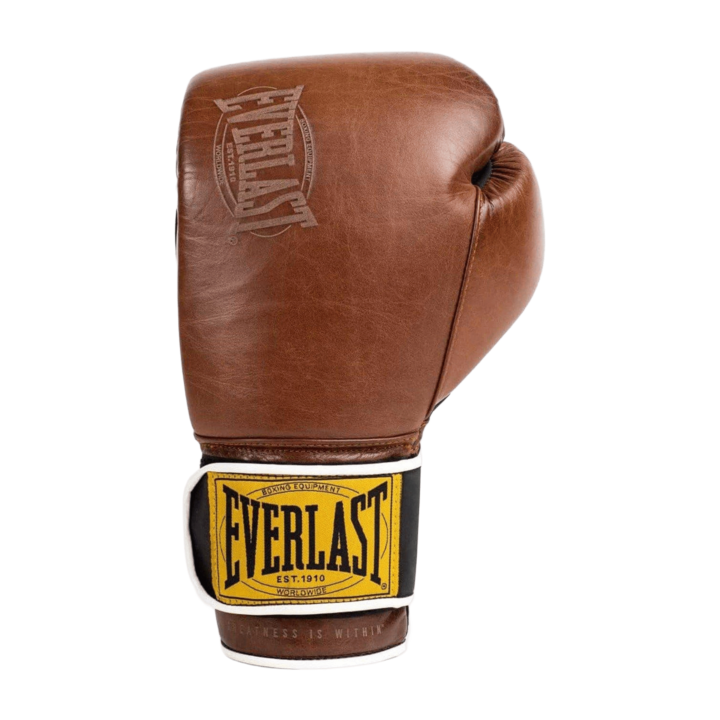 Everlast 1910 Classic Training Boxing Glove
