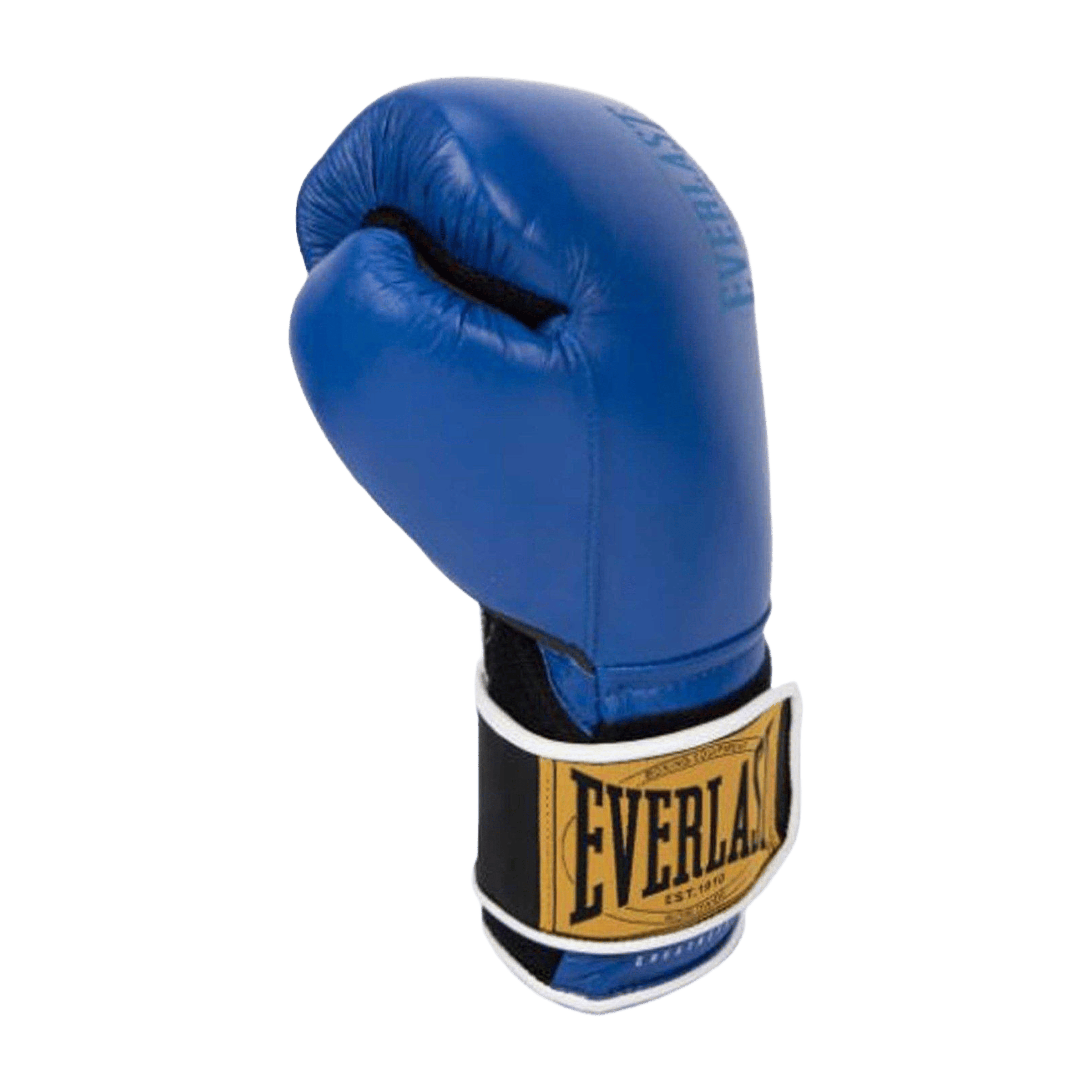 Everlast 1910 Classic Training Boxing Glove