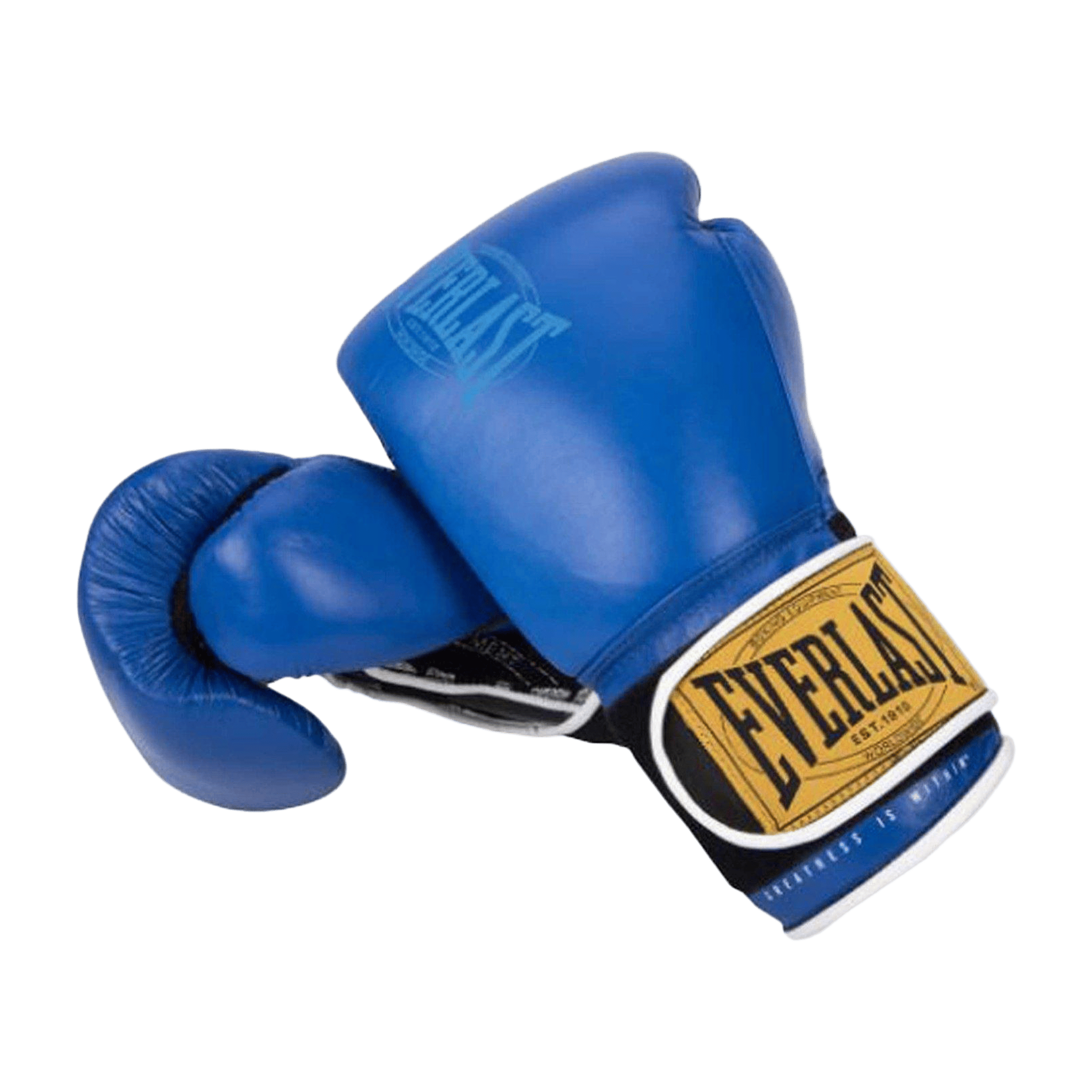 Everlast 1910 Classic Training Boxing Glove