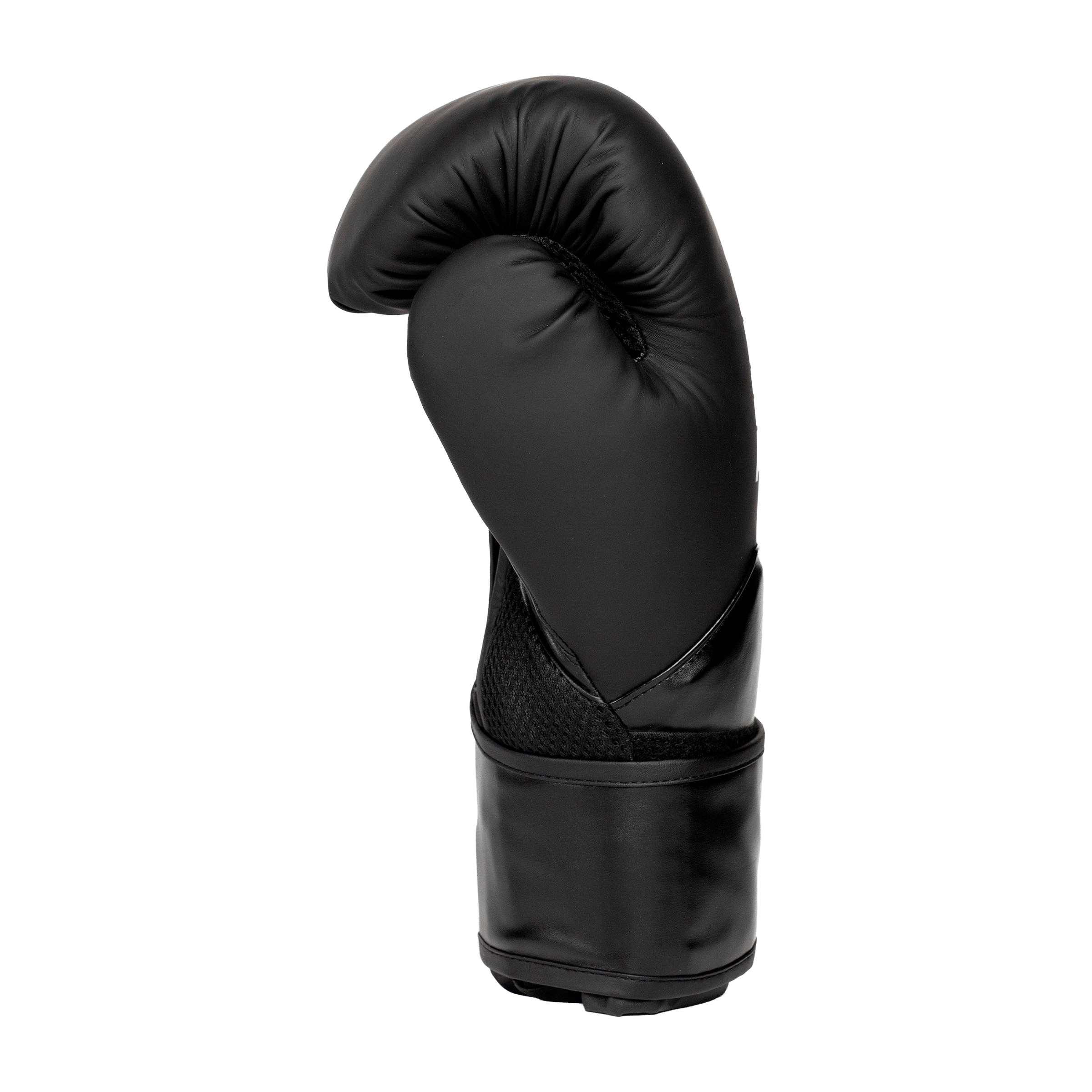 Everlast Elite 2 Training Boxing Gloves