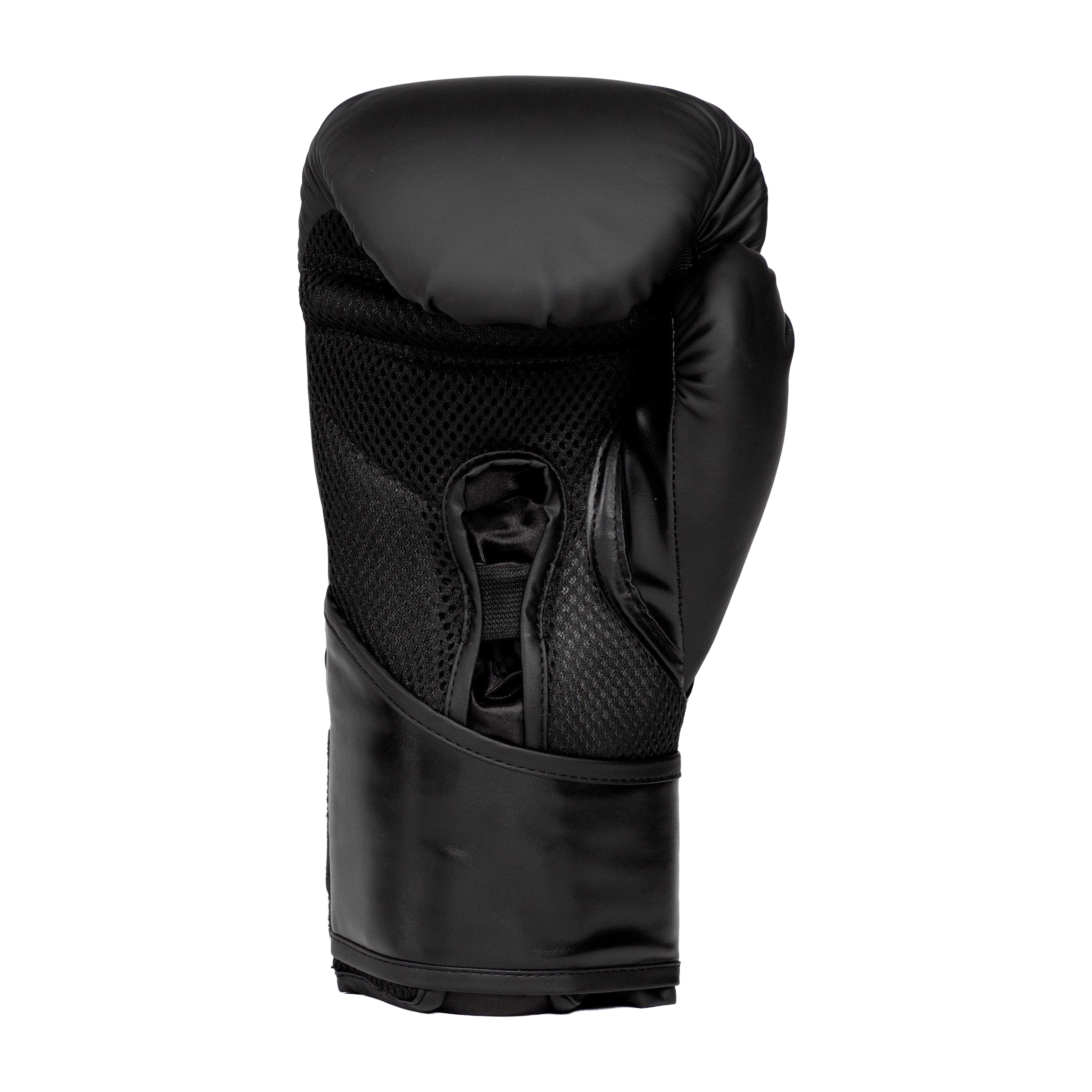 Everlast Elite 2 Training Boxing Gloves