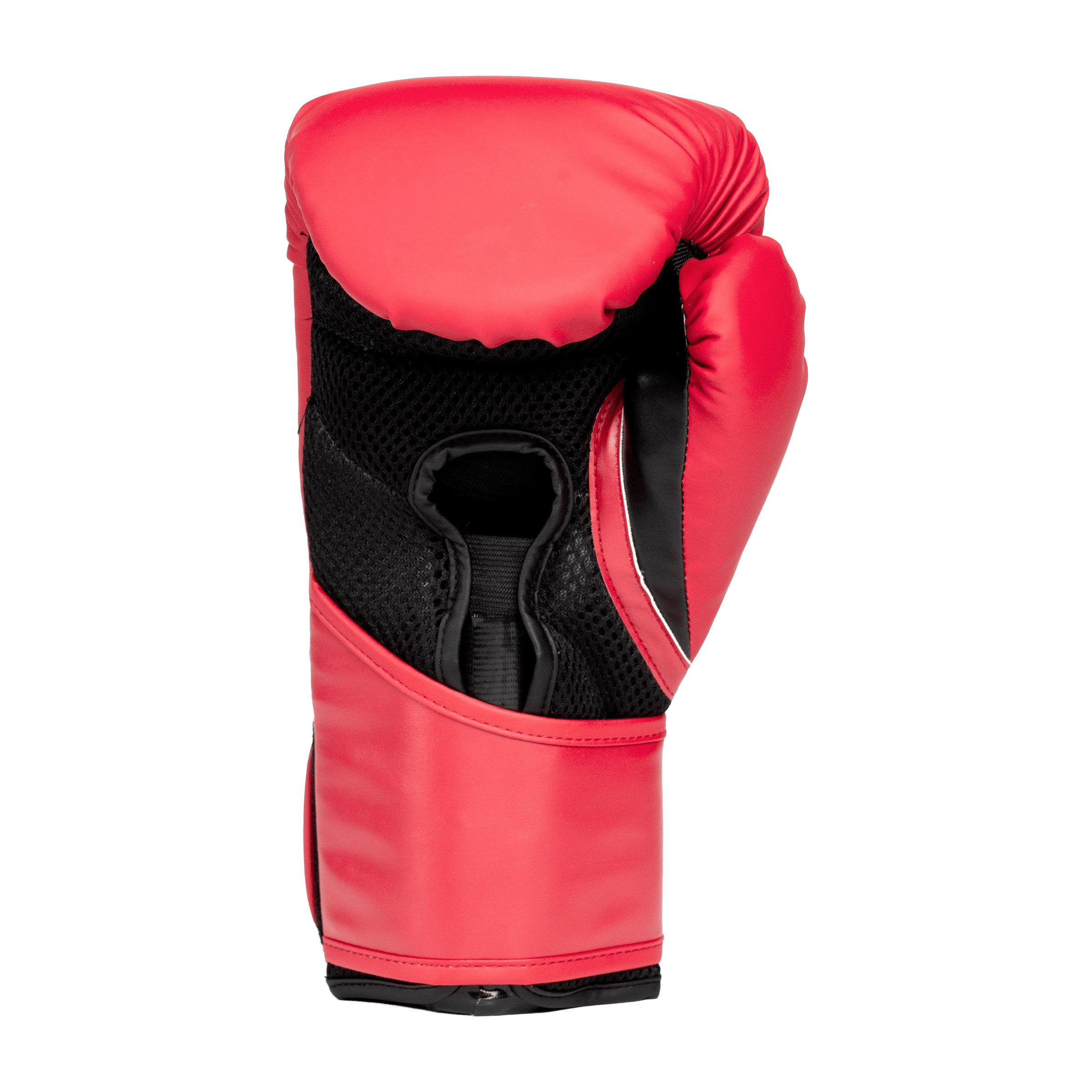 Everlast Elite 2 Training Boxing Gloves