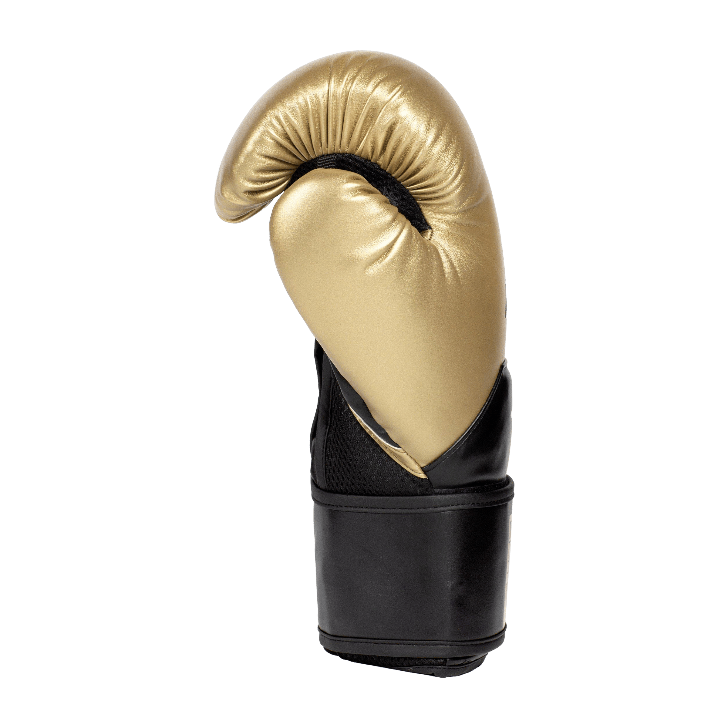 Everlast Elite 2 Training Boxing Gloves