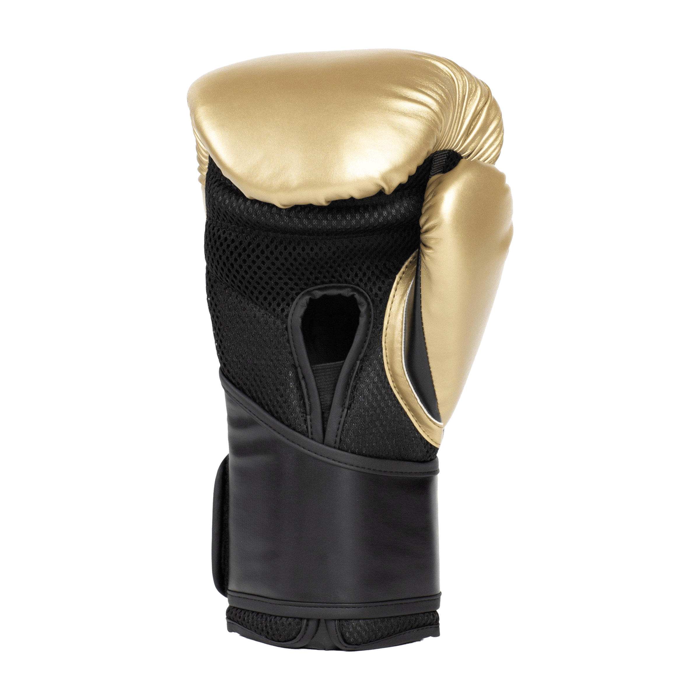 Everlast Elite 2 Training Boxing Gloves
