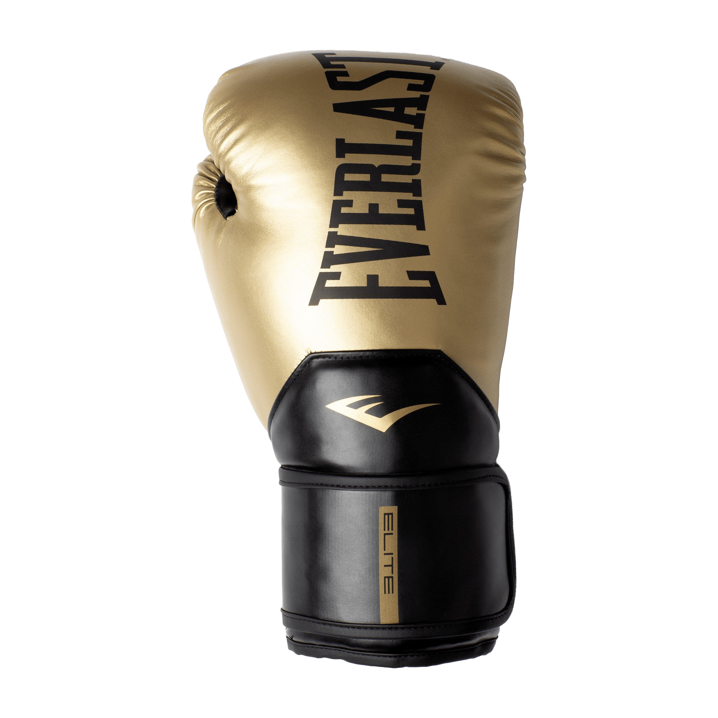 Everlast Elite 2 Training Boxing Gloves