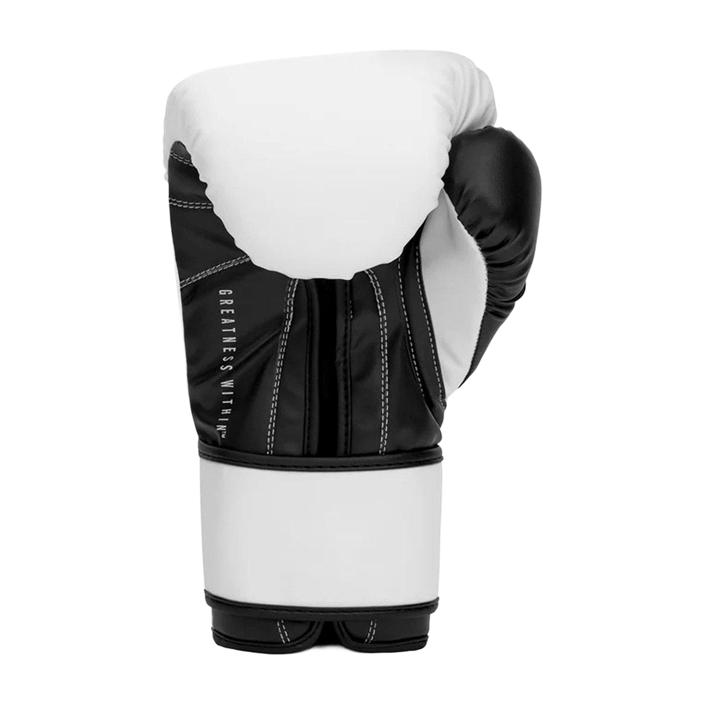 Everlast Powerlock Hook & Loop Boxing Gloves