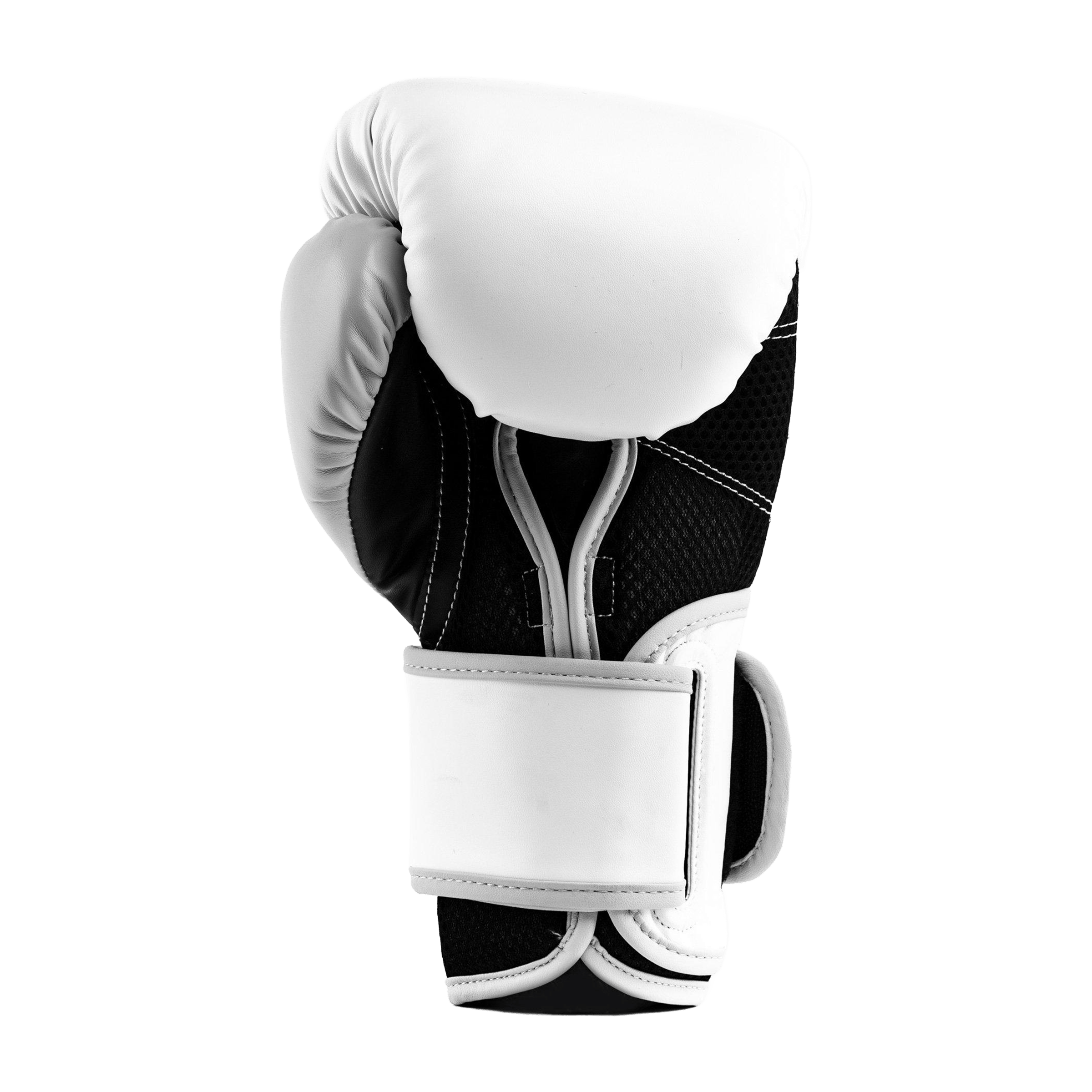 Everlast Powerlock Hook & Loop Boxing Gloves