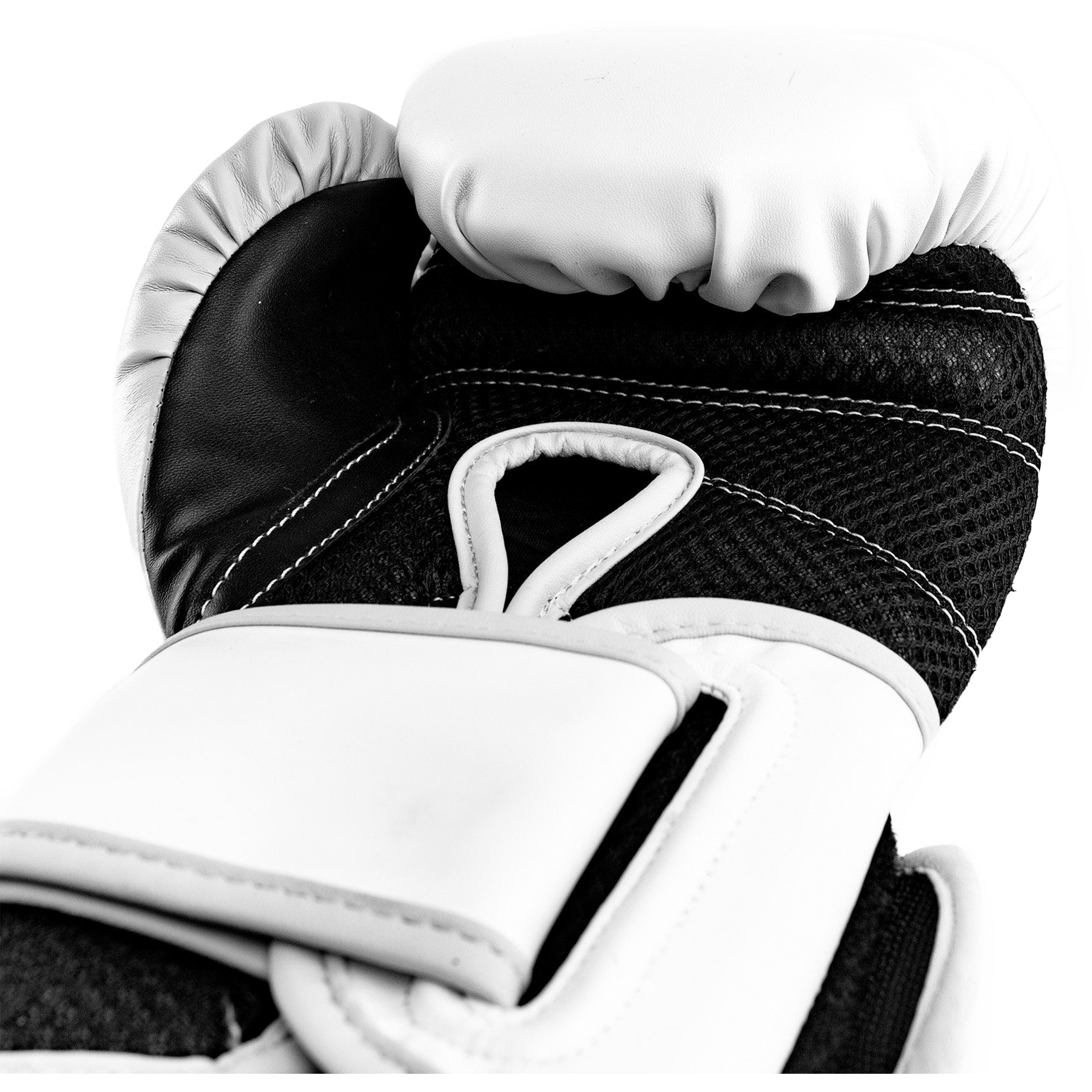 Everlast Powerlock Hook & Loop Boxing Gloves