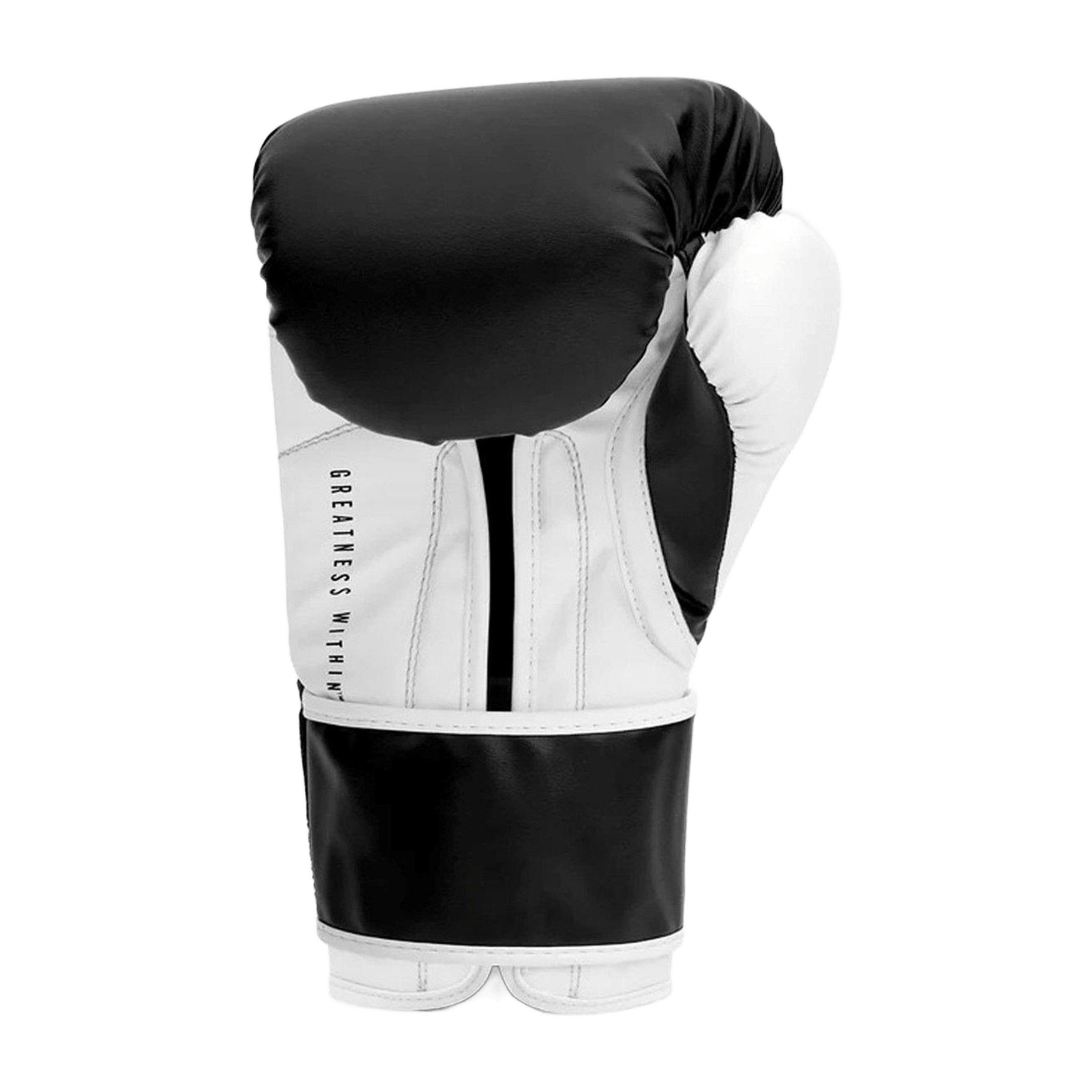 Everlast Powerlock Hook & Loop Boxing Gloves
