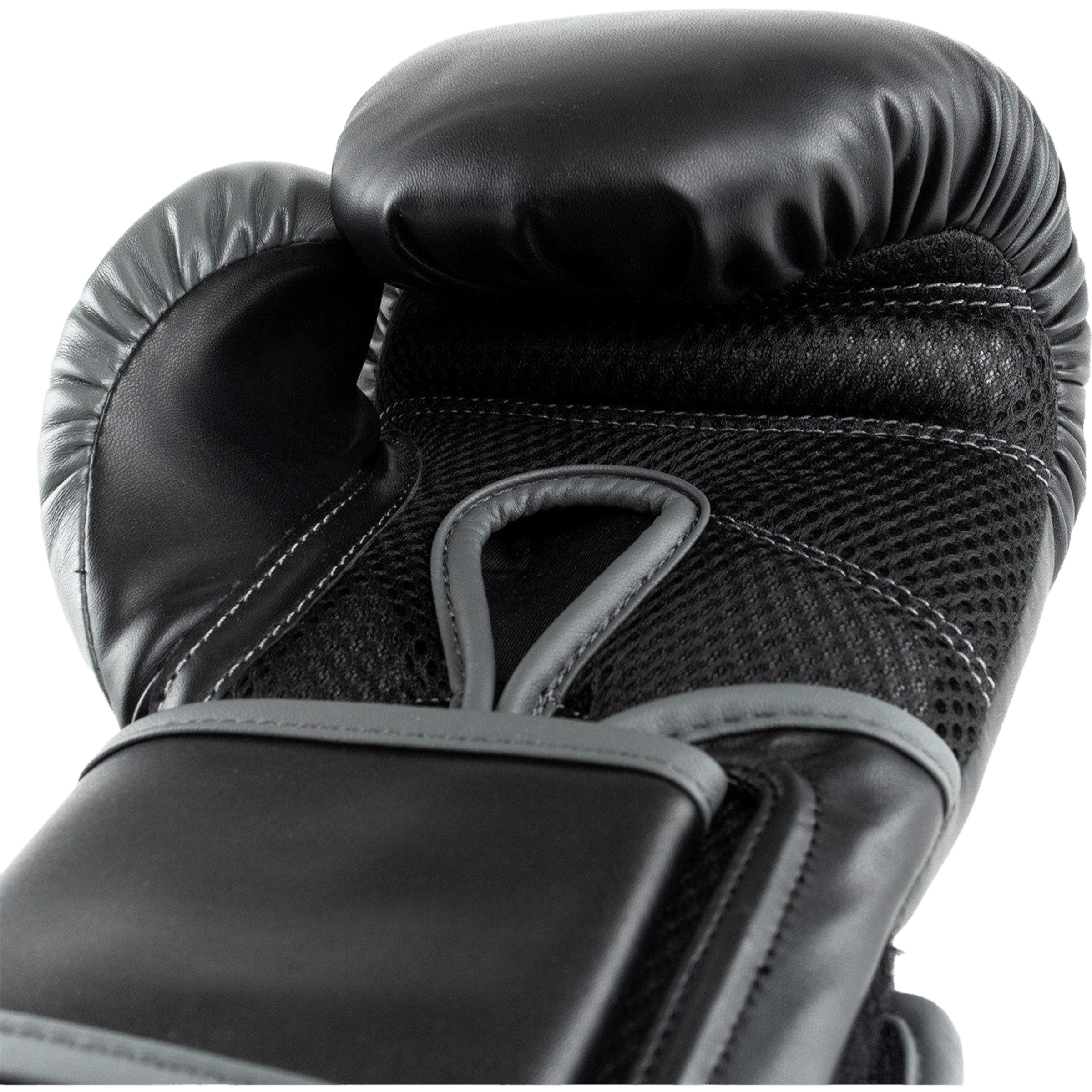 Everlast Powerlock Hook & Loop Boxing Gloves