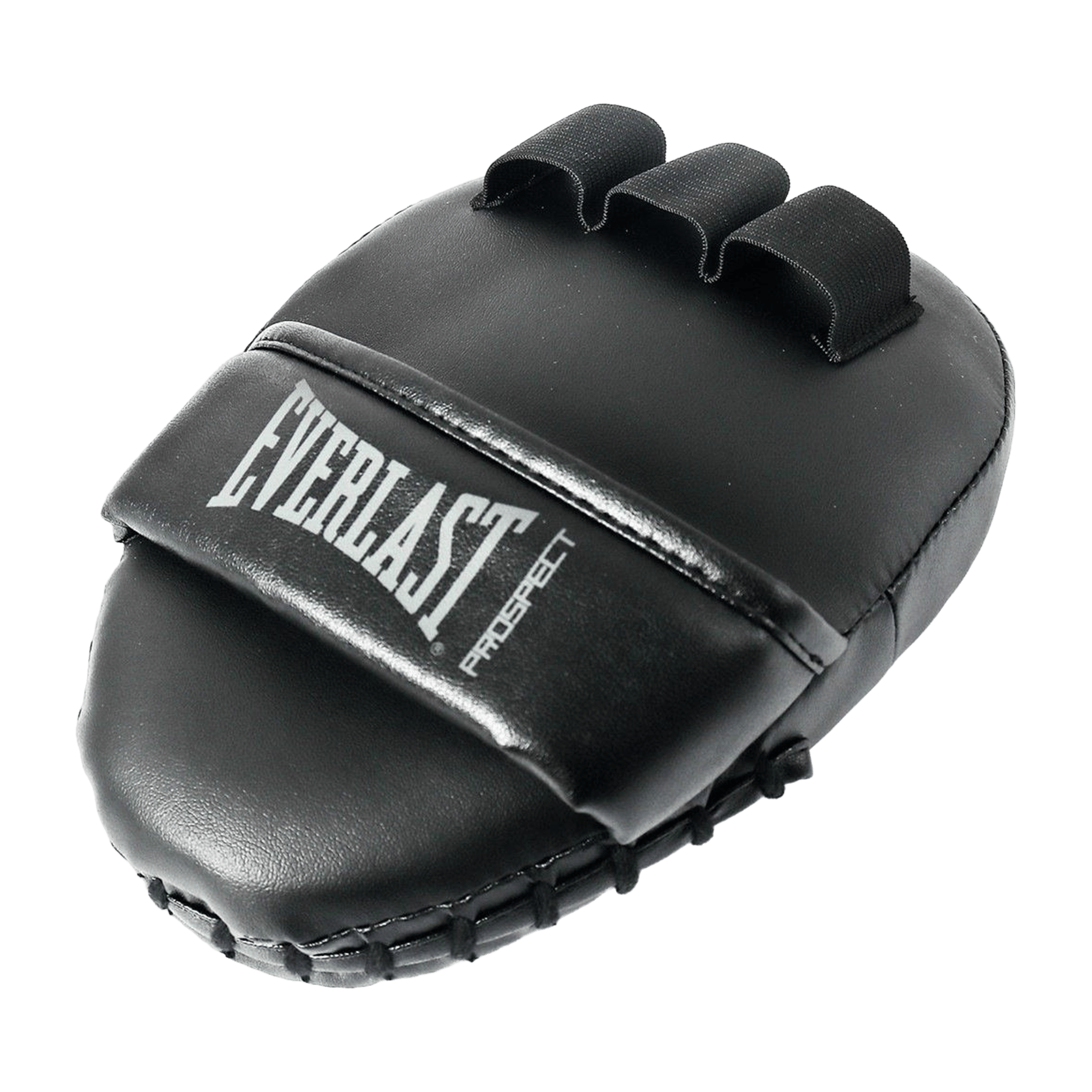 Everlast Boxing Pro2 Mitt Kit