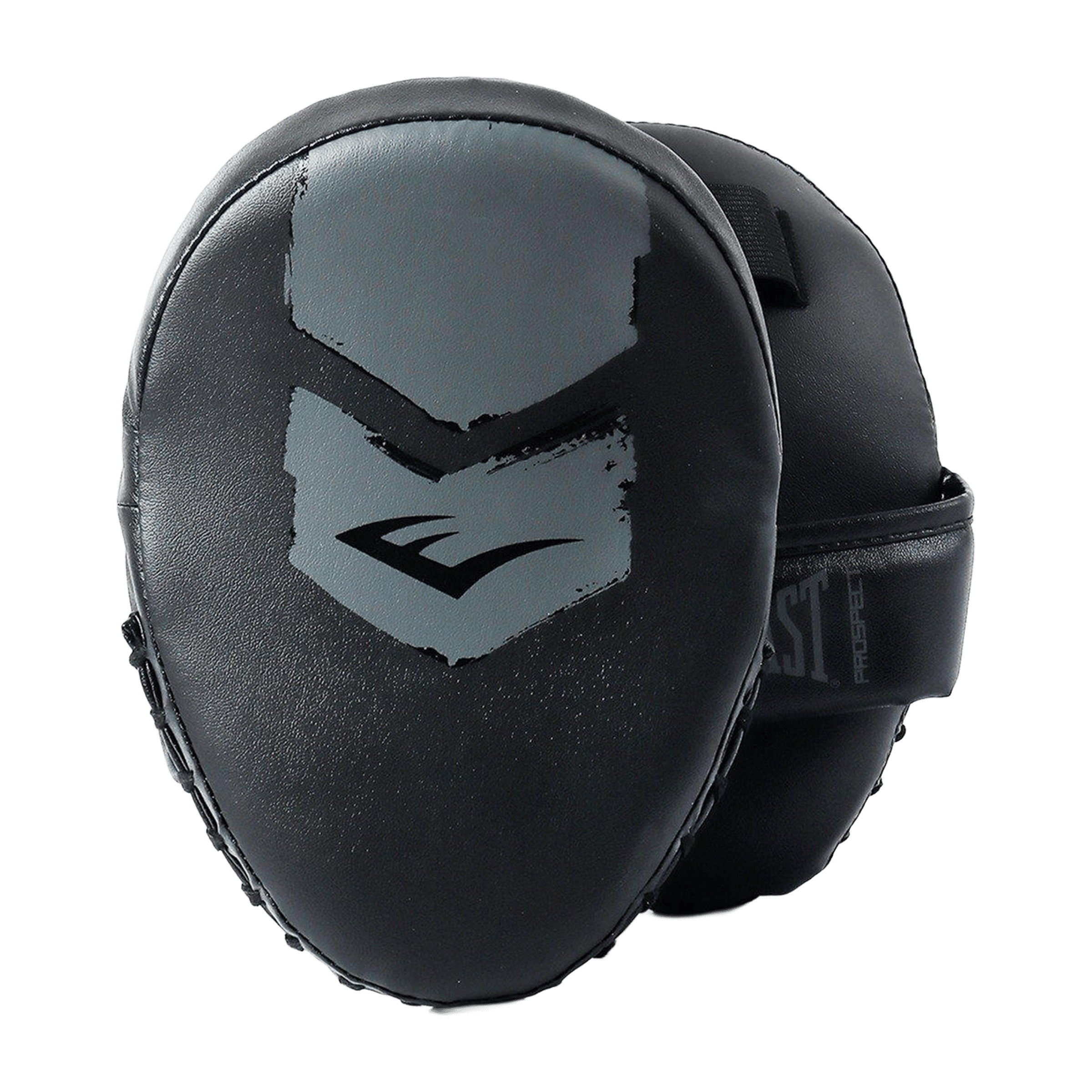 Everlast Boxing Pro2 Mitt Kit