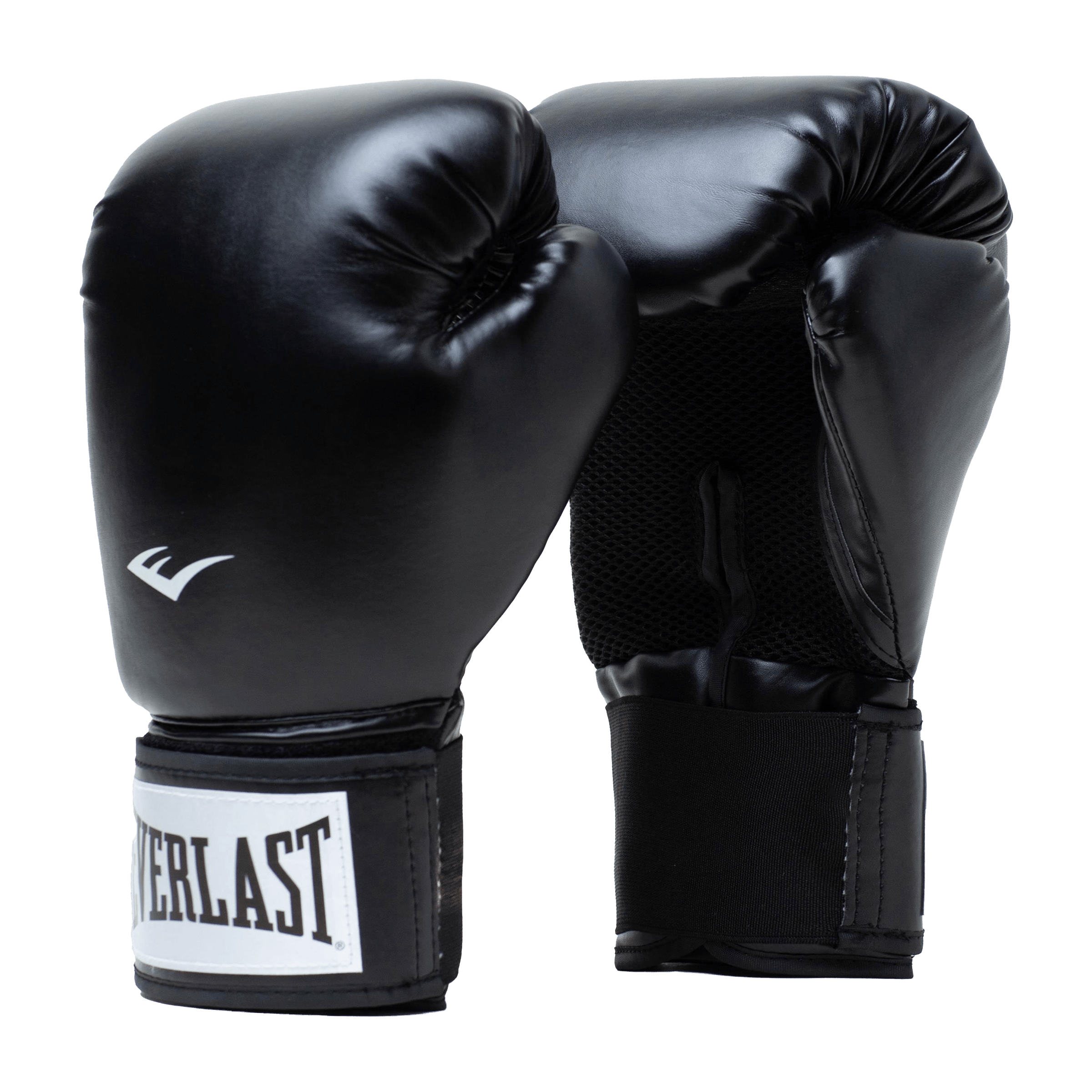 Everlast Pro Style2 Training Boxing Gloves