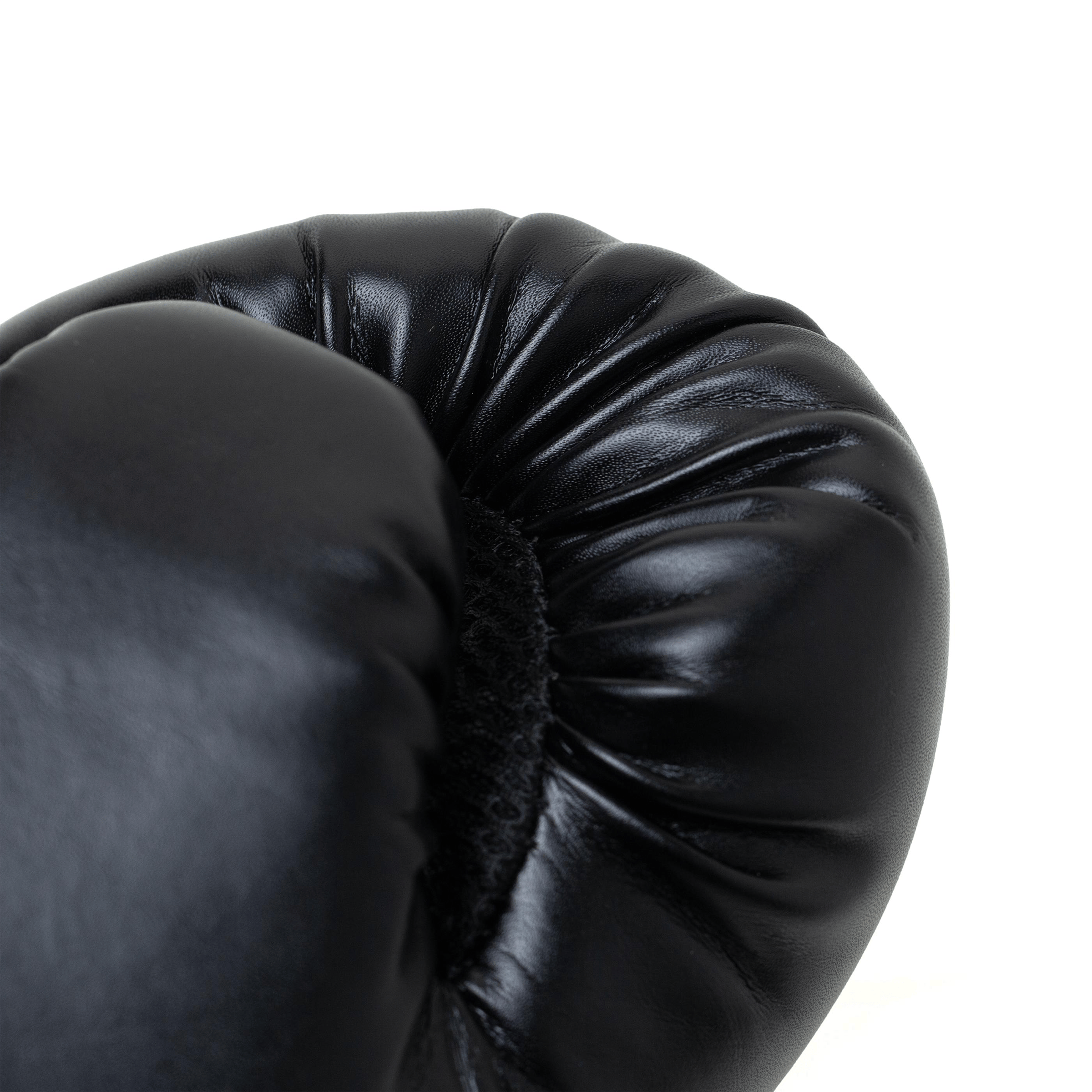 Everlast Pro Style2 Training Boxing Gloves