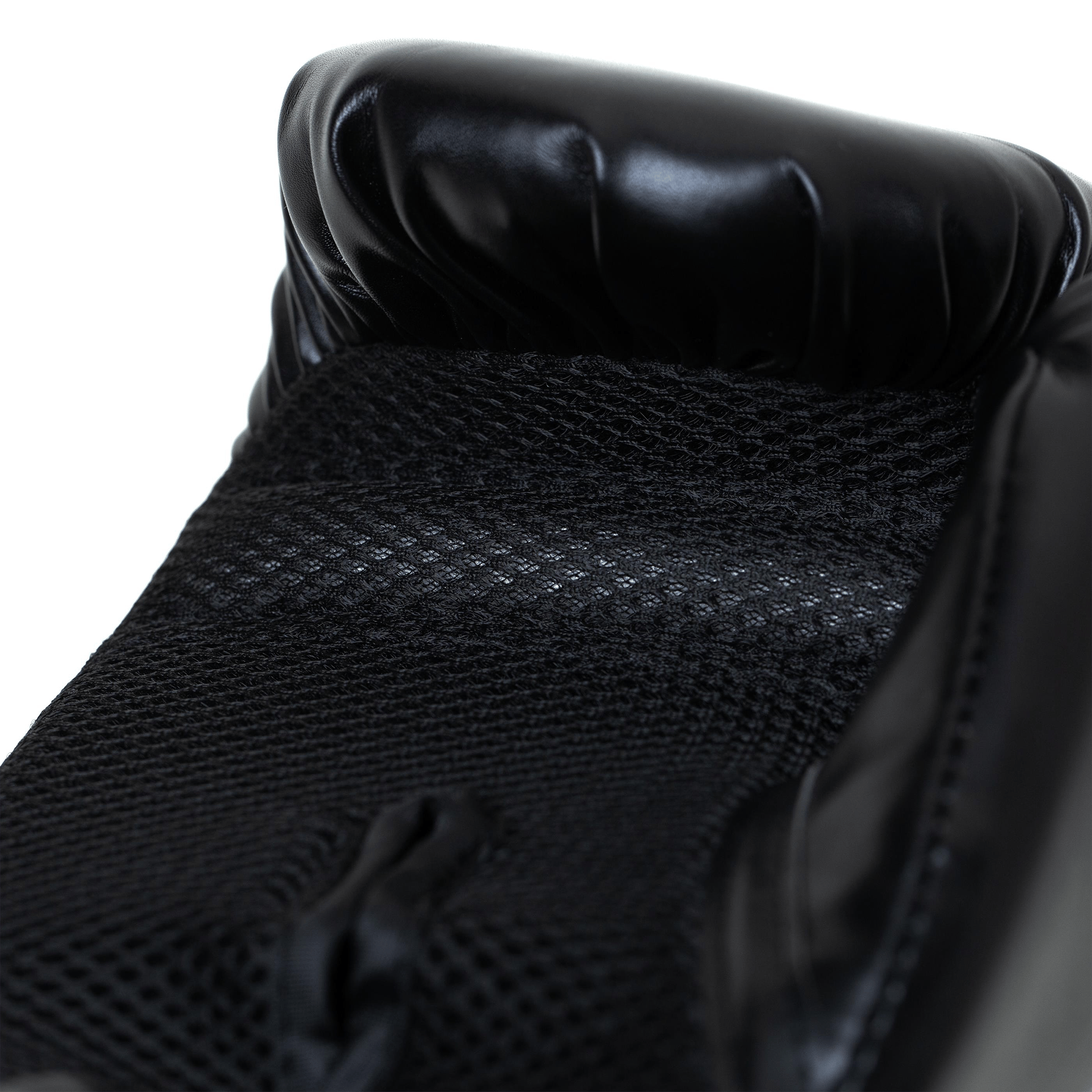 Everlast Pro Style2 Training Boxing Gloves
