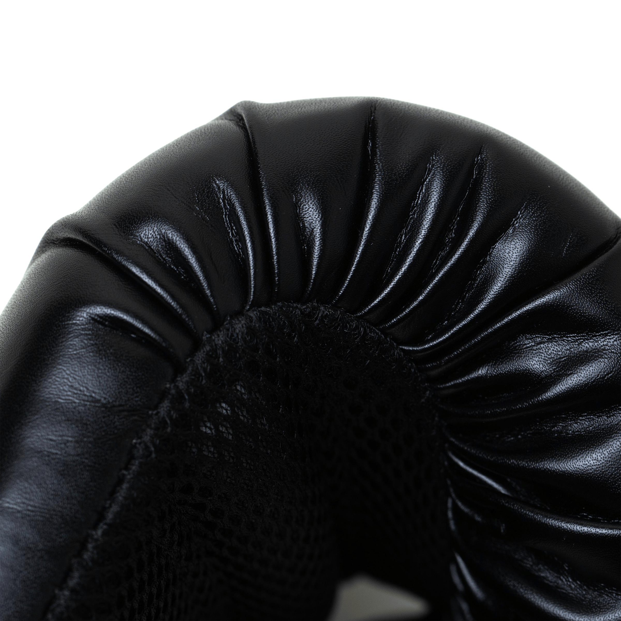 Everlast Pro Style2 Training Boxing Gloves