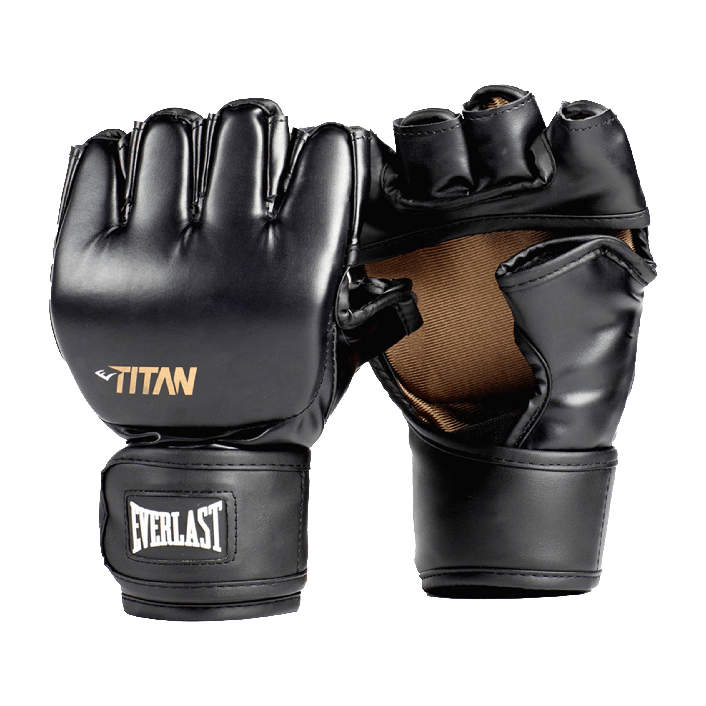 Everlast Titan MMA Training Gloves